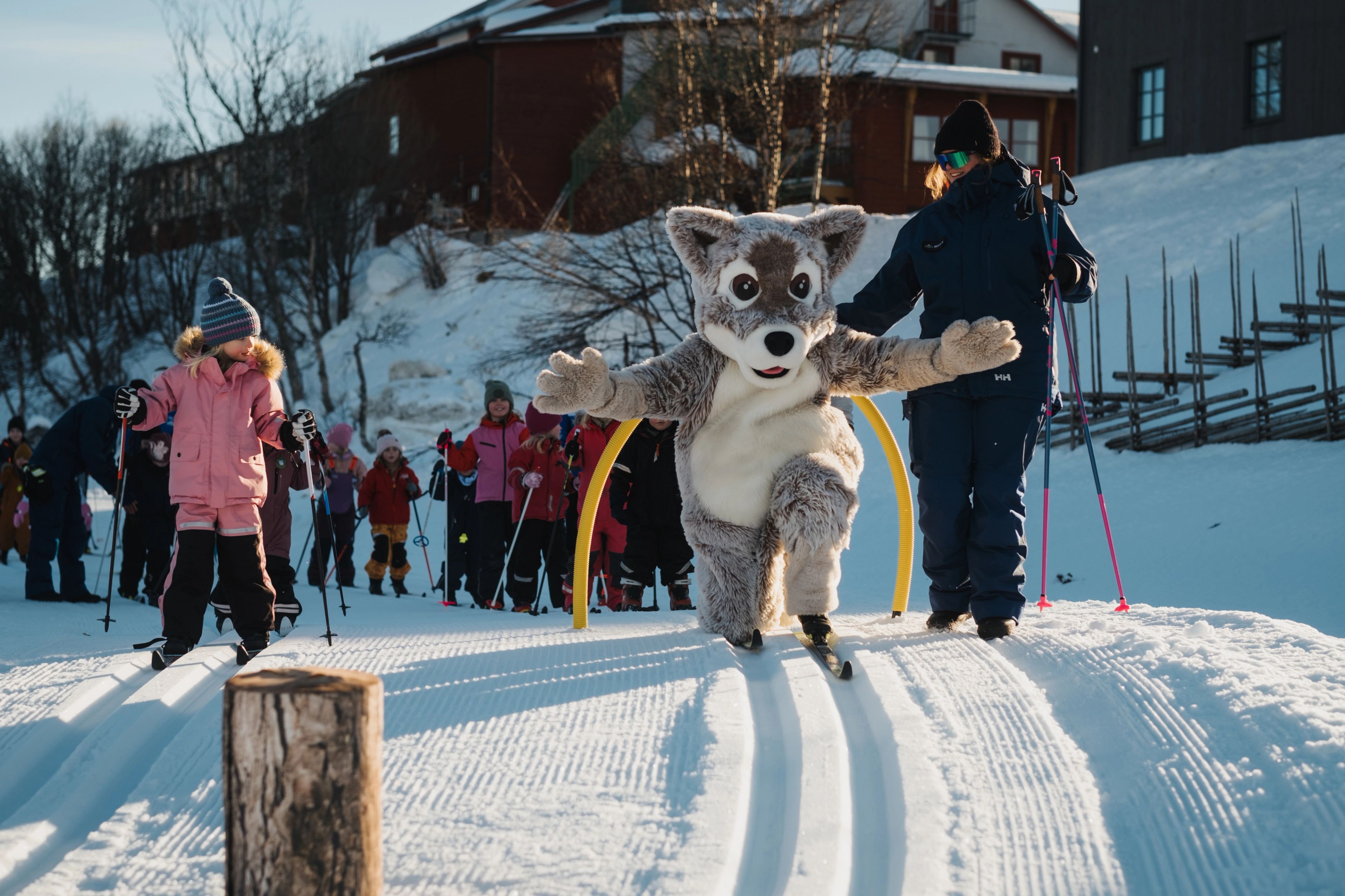Maskoten Mickelina fjällräv åker längdskidor i snön.