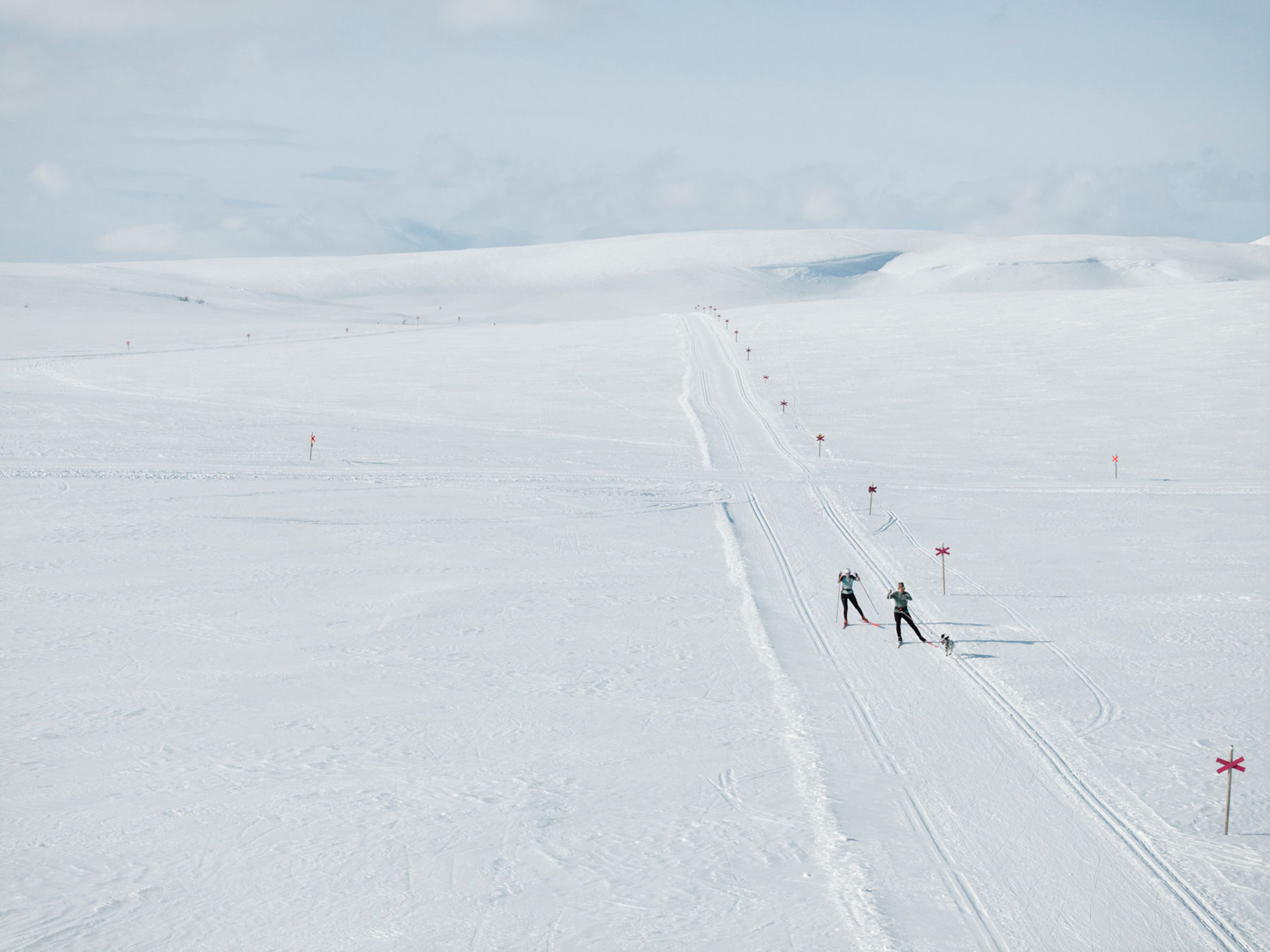 Några personer som åker längdskidor på fjället.