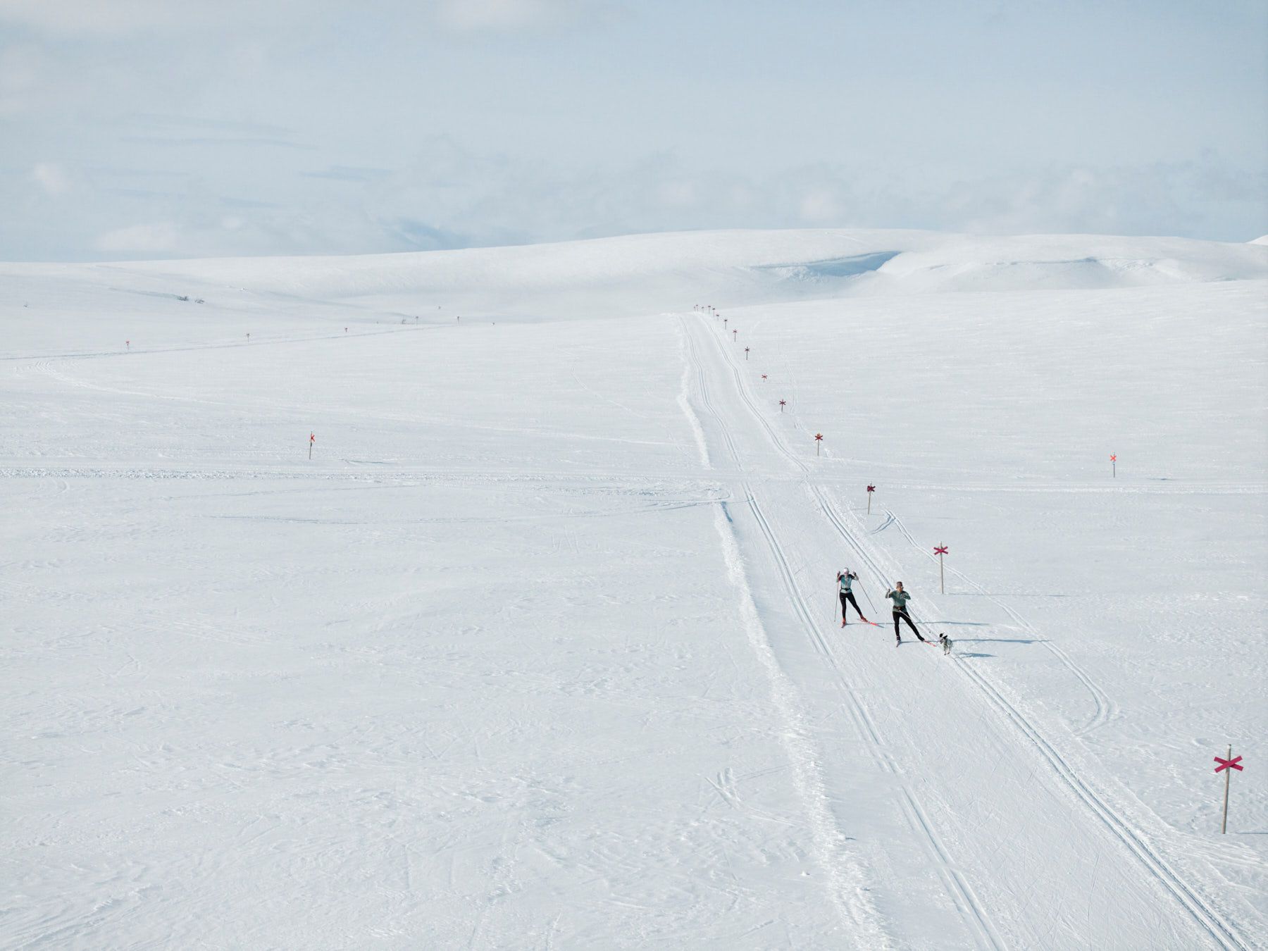 Några personer som åker längdskidor på fjället.