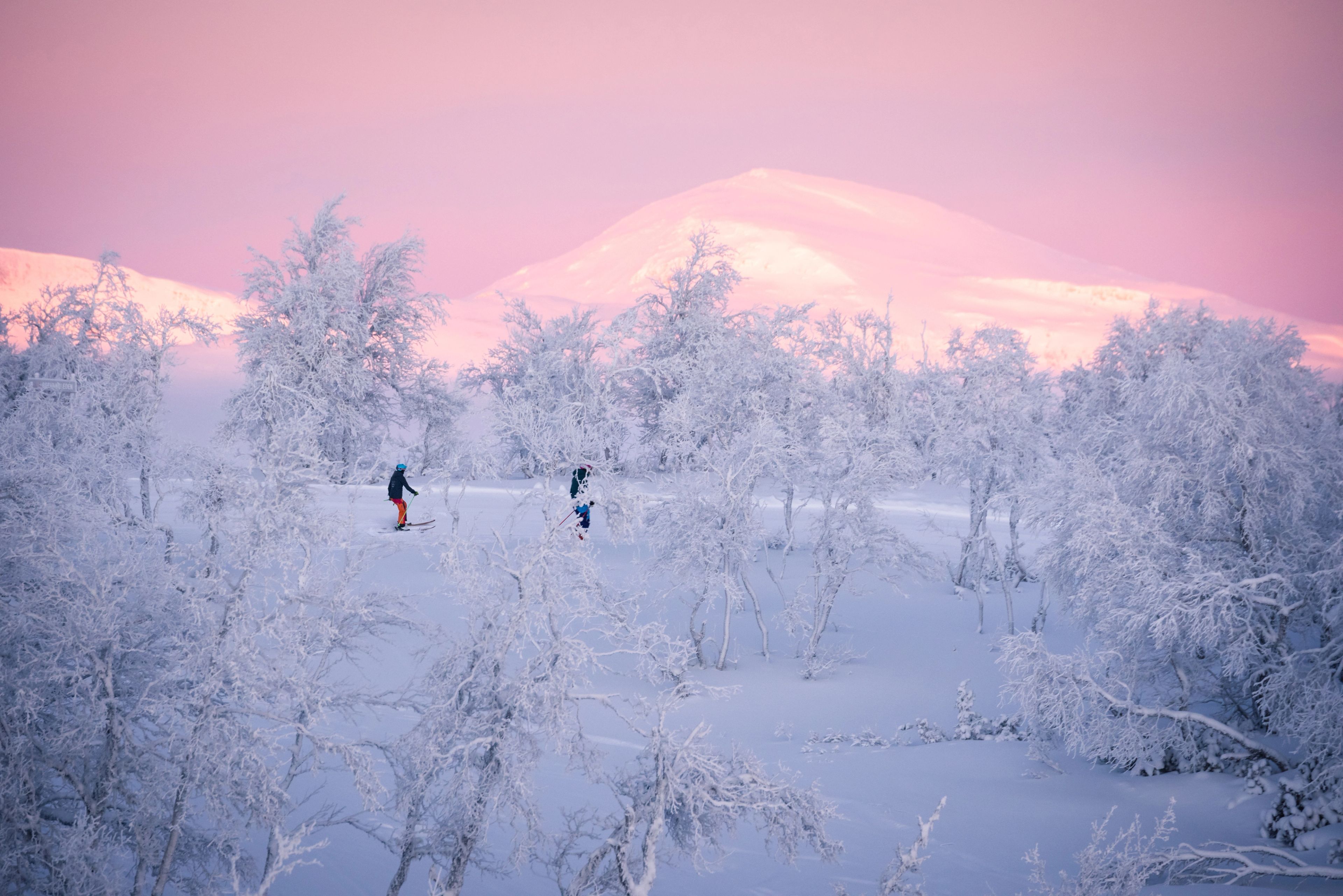 Two skiers traverse a snow-covered forest with frost-laden trees under a pink twilight sky.