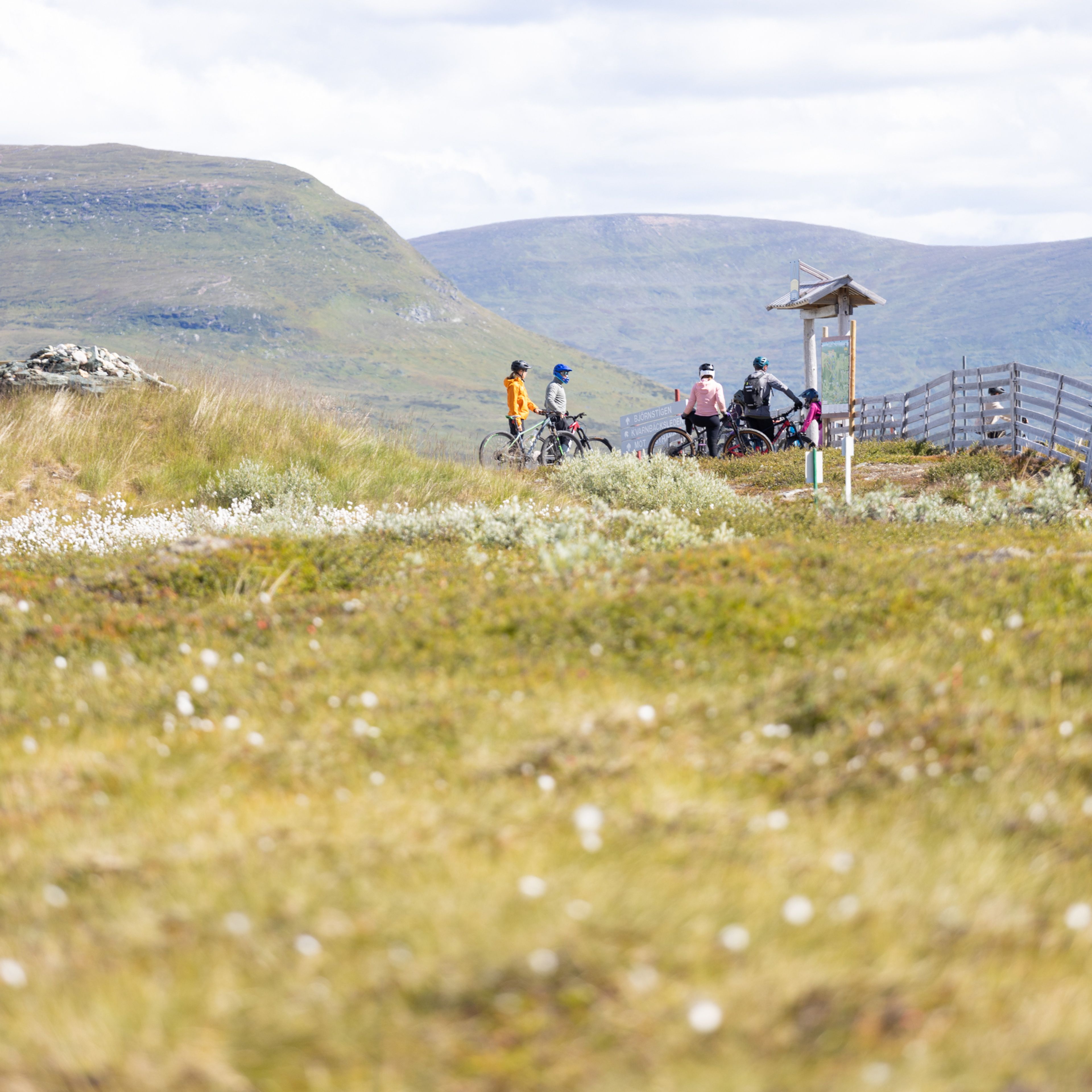 En grupp cyklister på ett fjäll