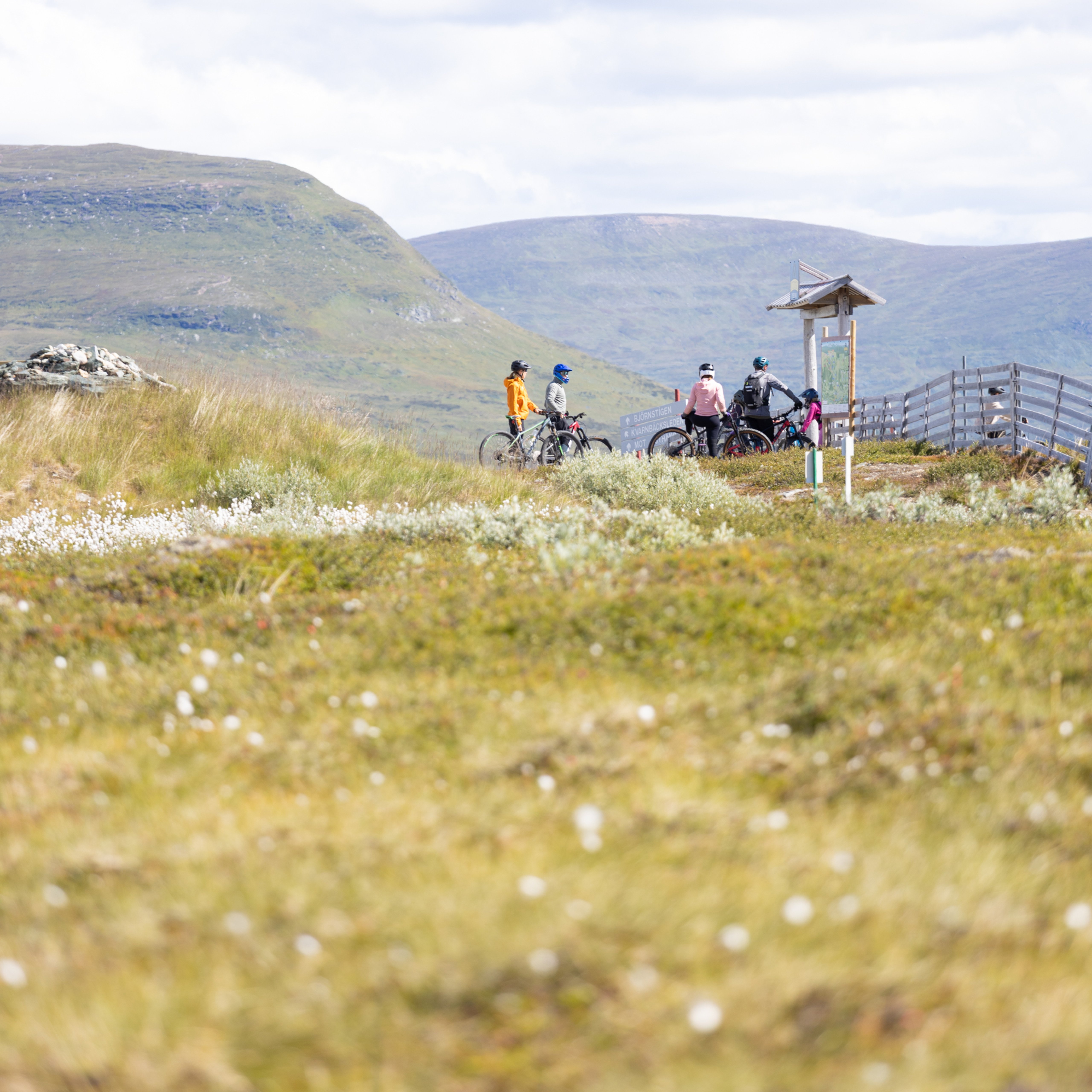 A group of cyclists on a mountain