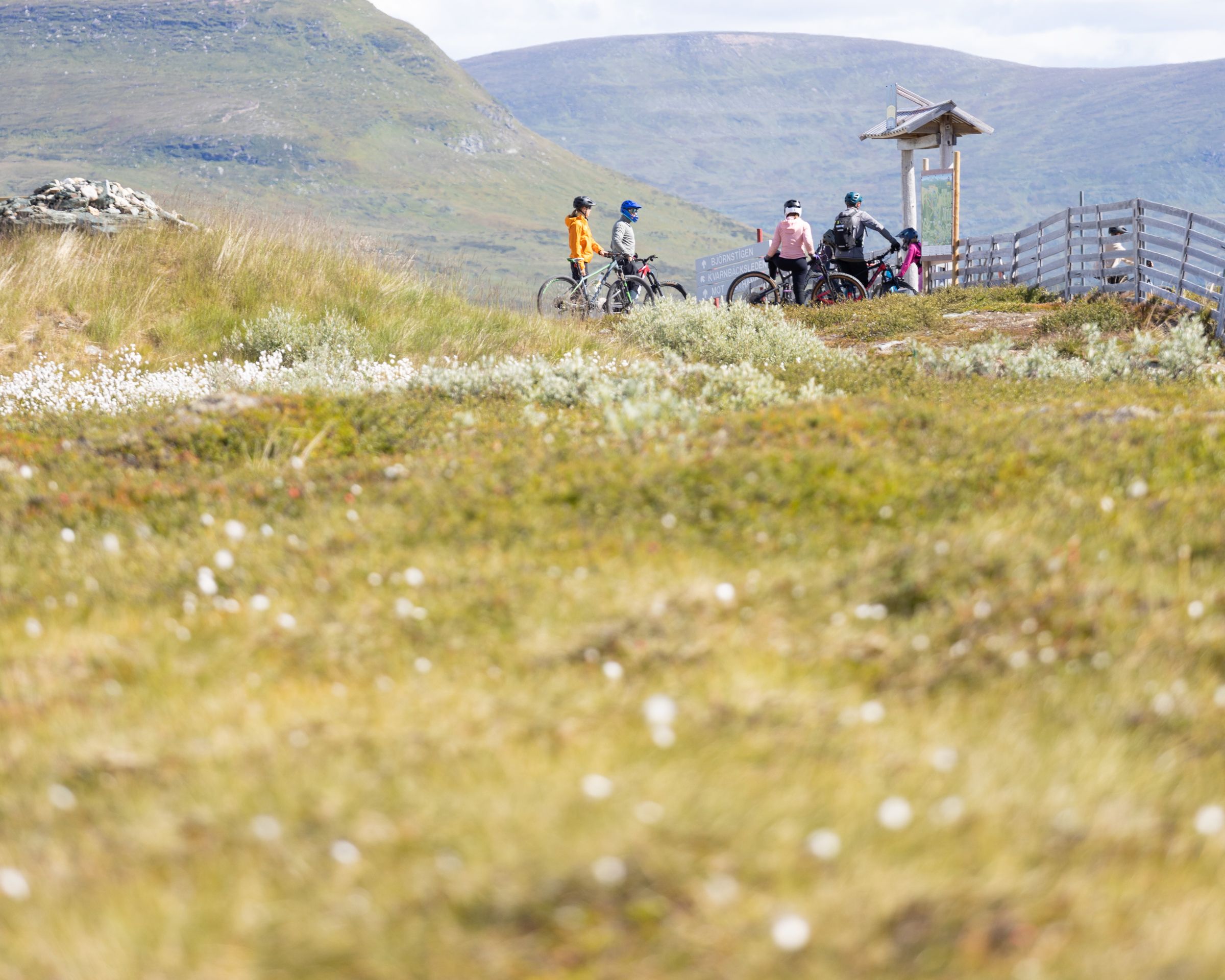 En grupp människor som cyklar på toppen av ett fjäll.
