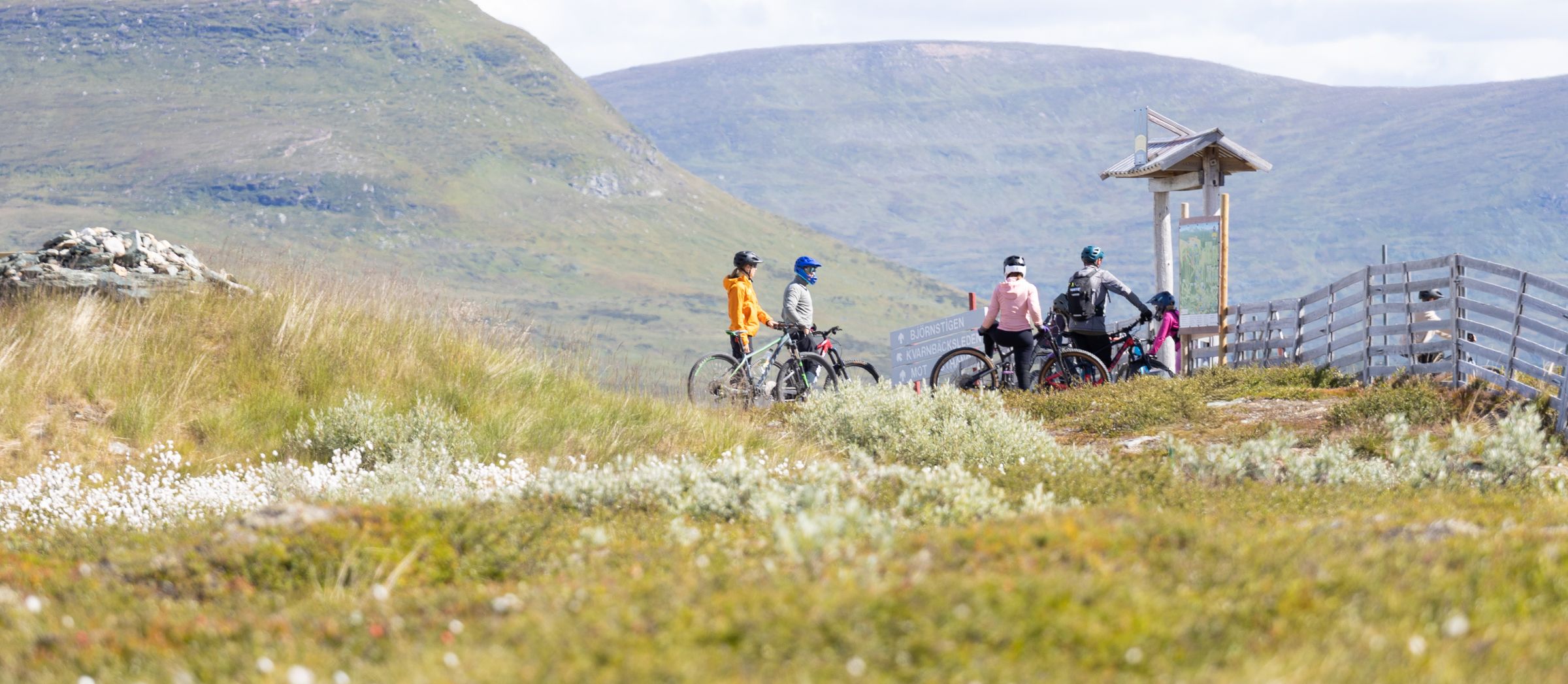 En grupp människor som cyklar på toppen av ett fjäll.