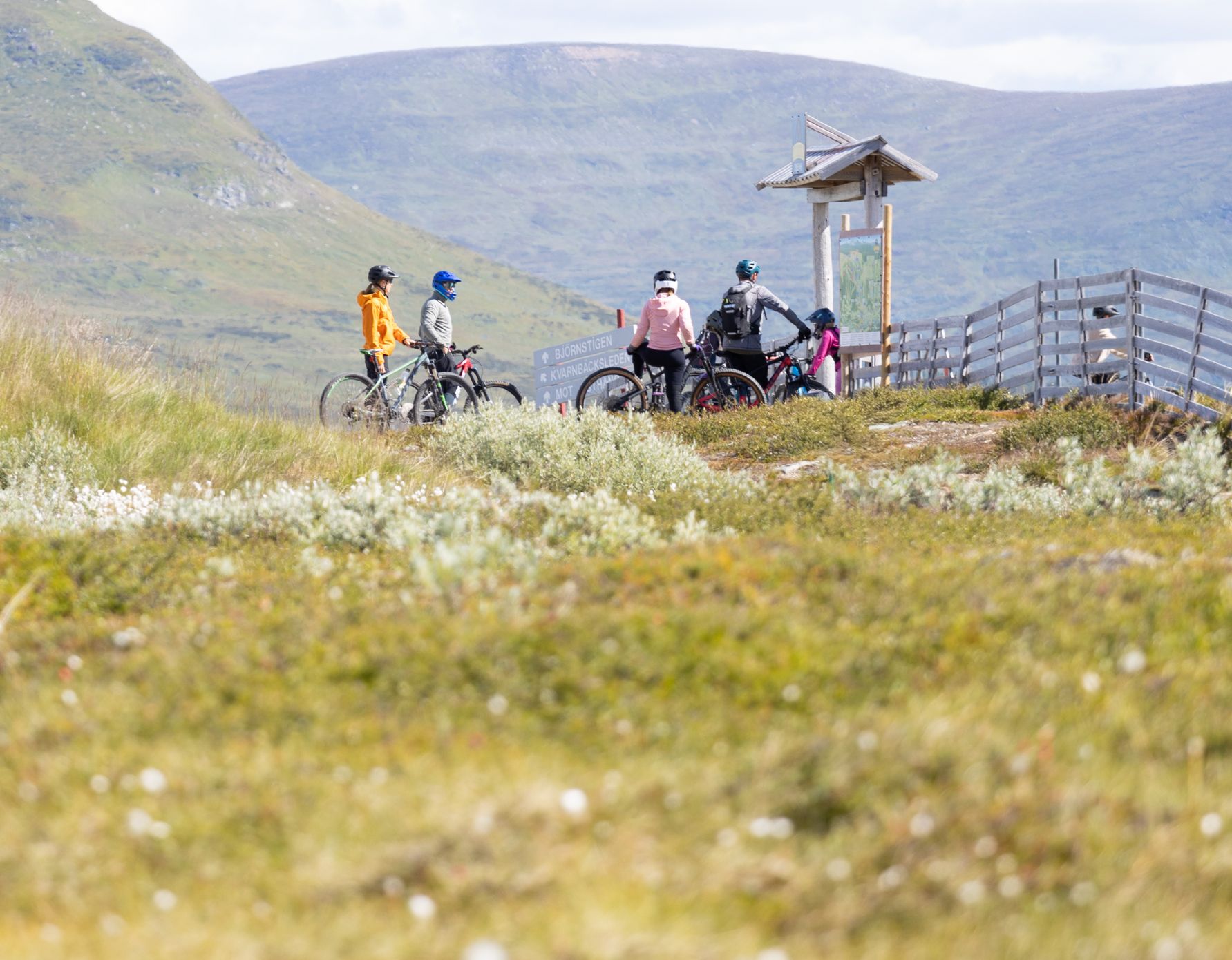 En grupp människor som cyklar på toppen av ett fjäll.
