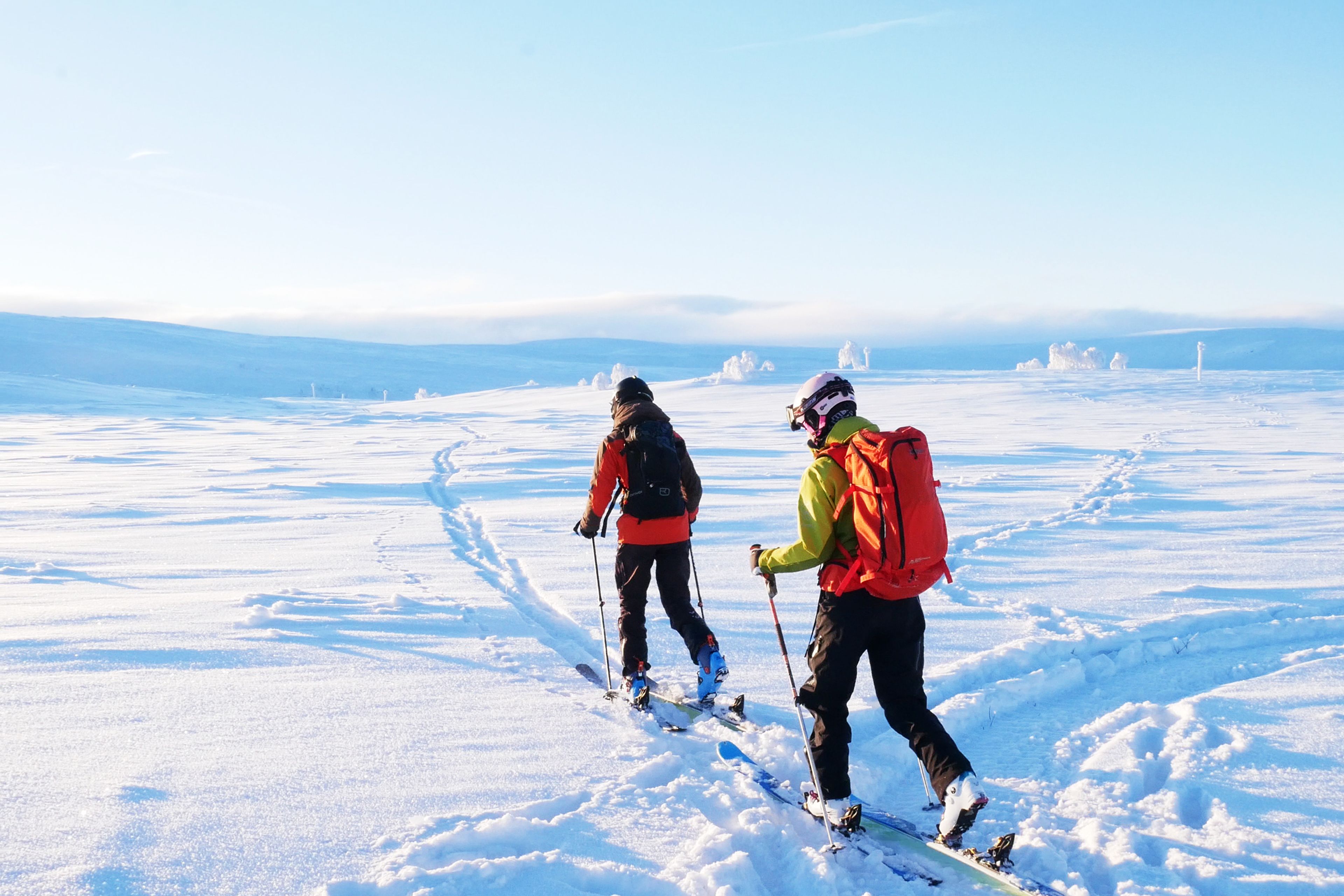 Några personer som åker skidor över snötäckt mark.