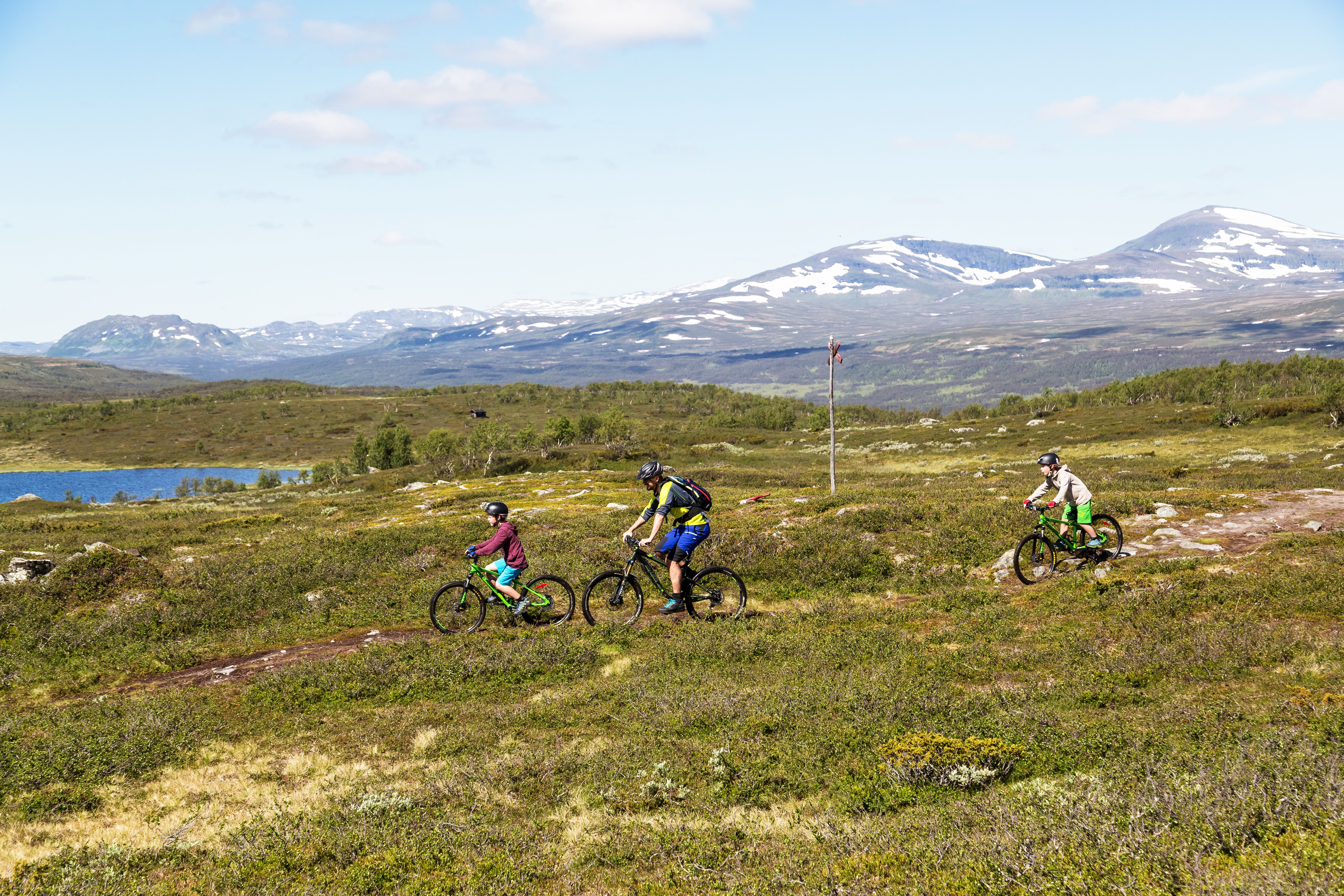 En familj med en vuxen och två pojkar cyklar på en stig framför en fjällsjö med fjäll i bakgrunden.som cyklar på en gräsbevuxen äng.