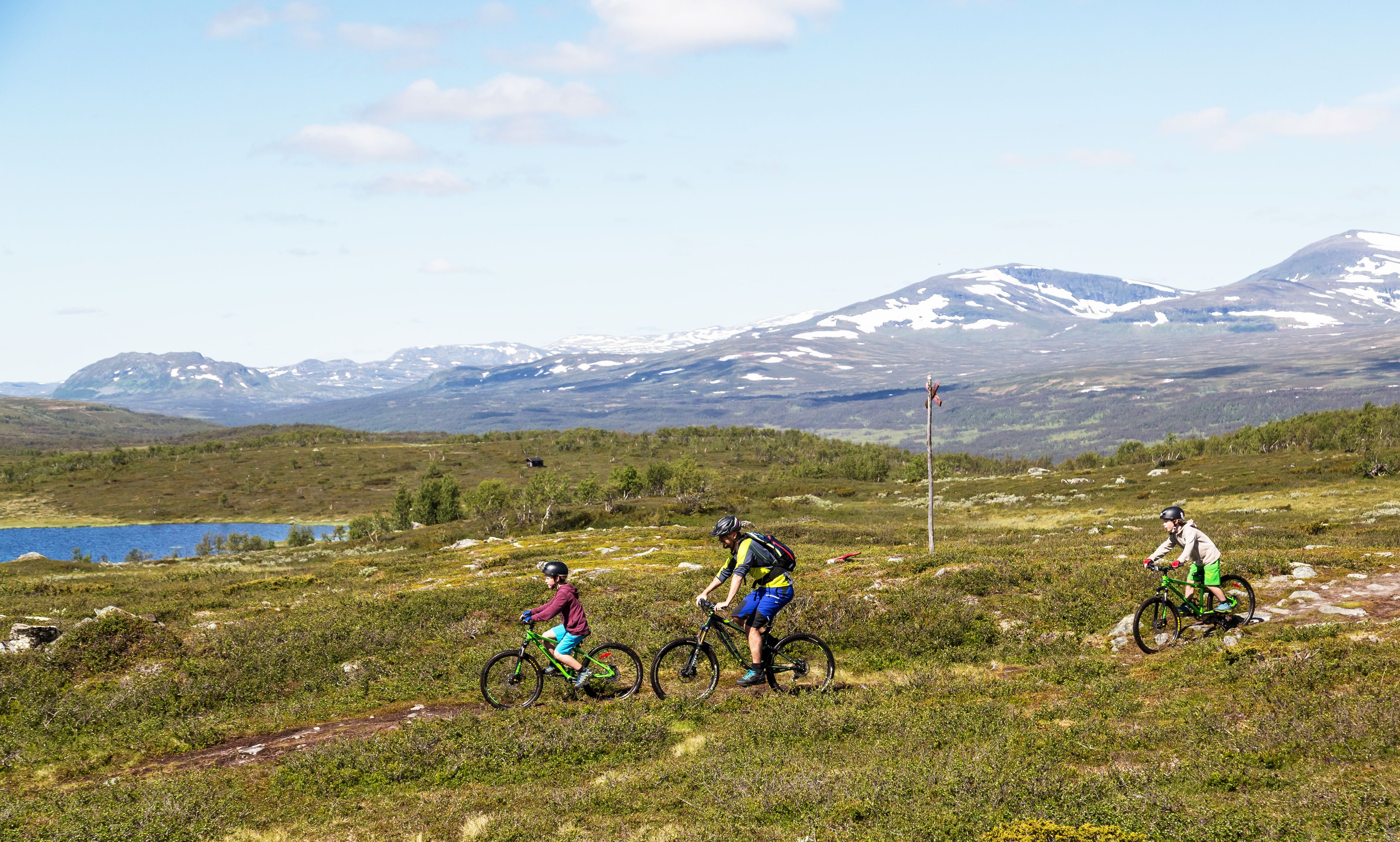 En familj med en vuxen och två pojkar cyklar på en stig framför en fjällsjö med fjäll i bakgrunden.som cyklar på en gräsbevuxen äng.