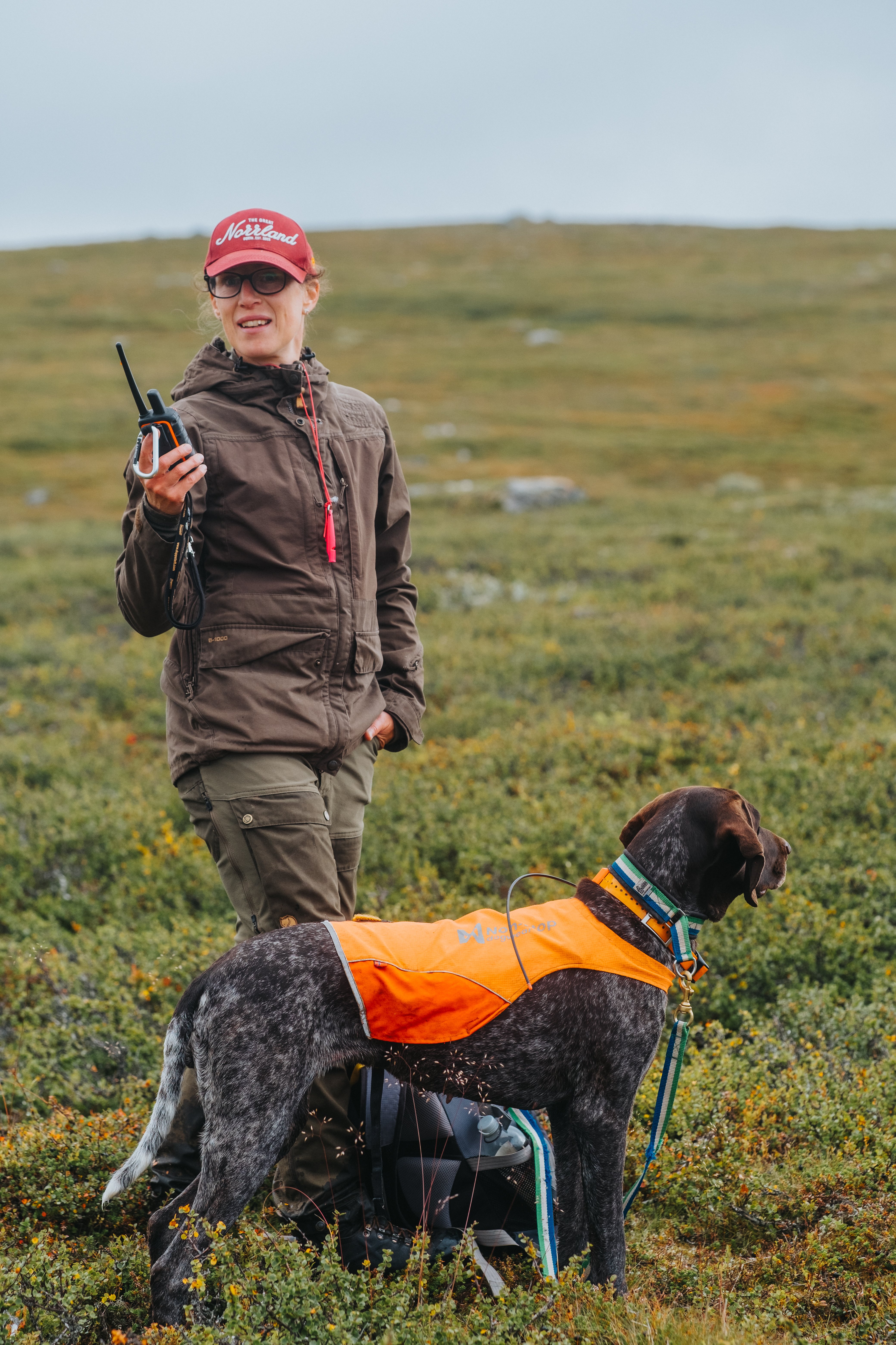 A female dog handler hunting grouse with a bird dog ahead of her in Ramundberget.