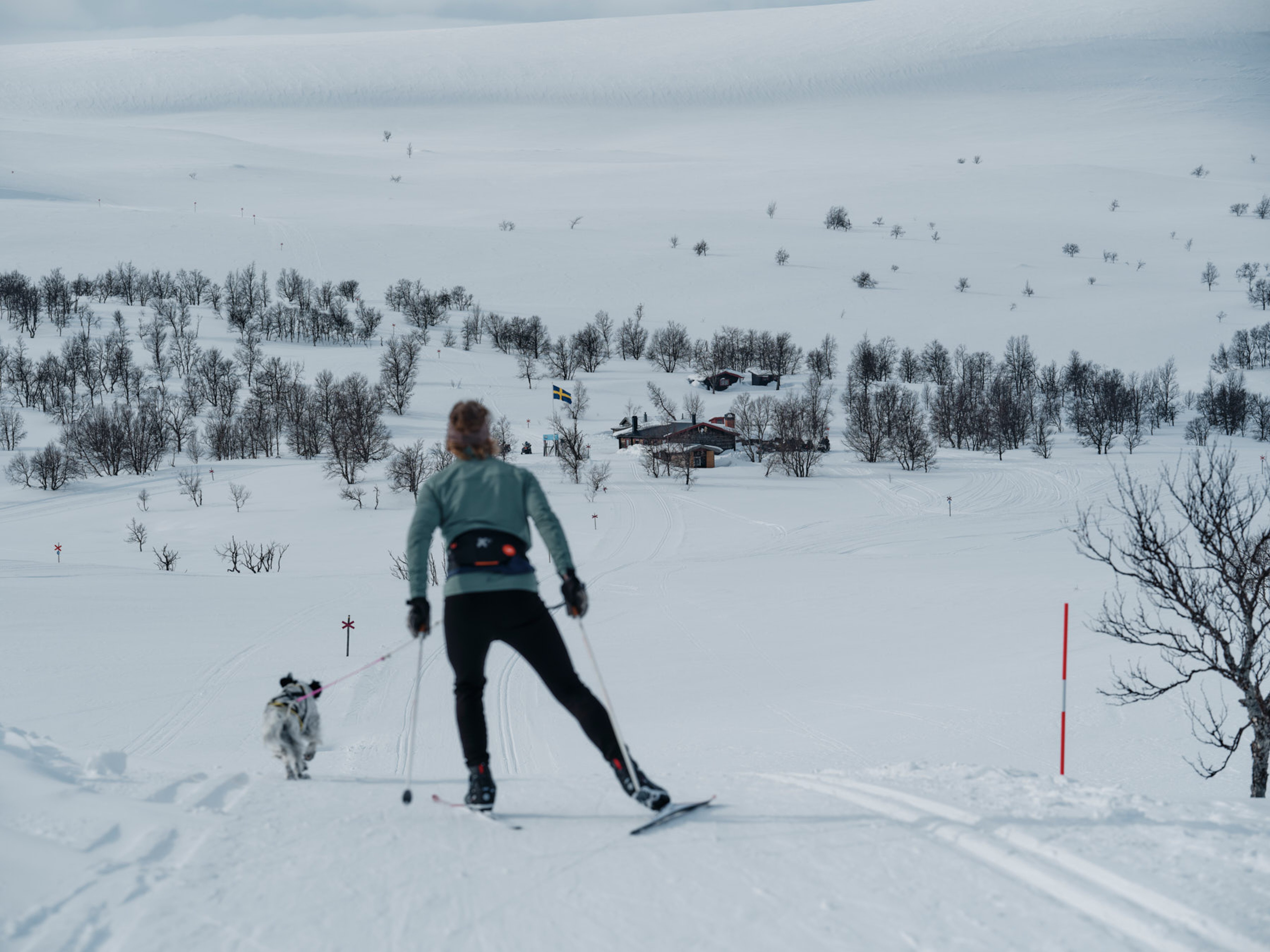 En person på skidor i snön tillsammans med en hund.