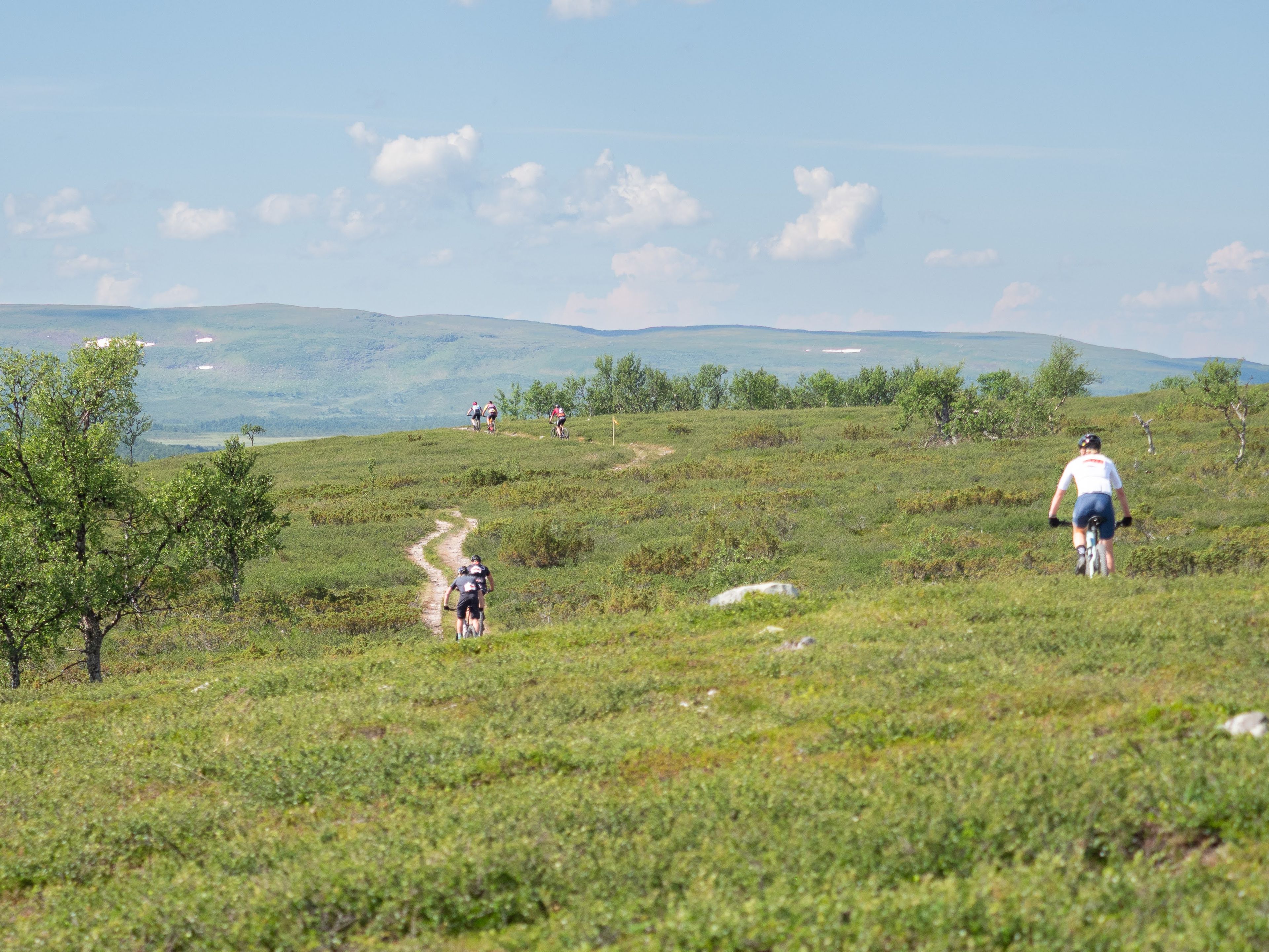 En grupp cyklister som cyklar över en fjälläng nedförs med ett fjäll i bakgrunden.
