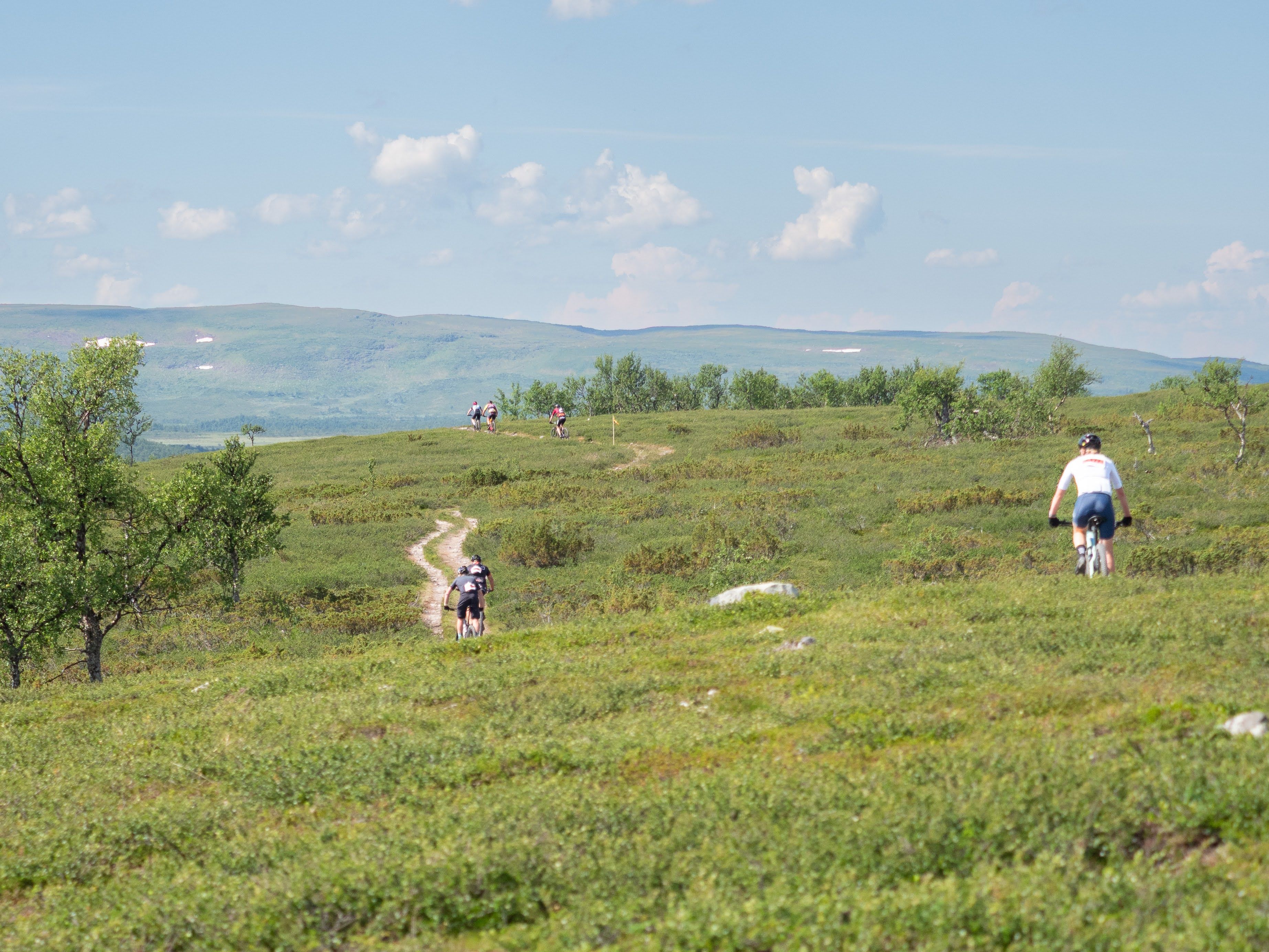 En grupp cyklister som cyklar över en fjälläng nedförs med ett fjäll i bakgrunden.