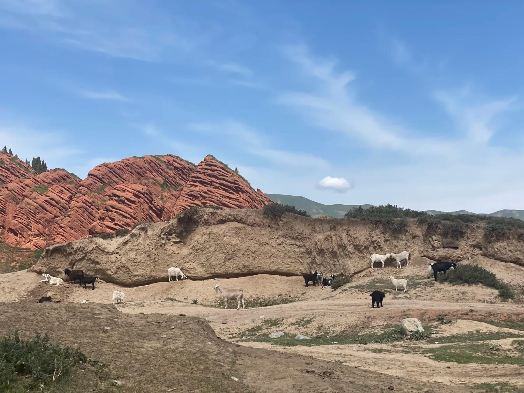 Panoramic viewpoint of Jeti Oguz