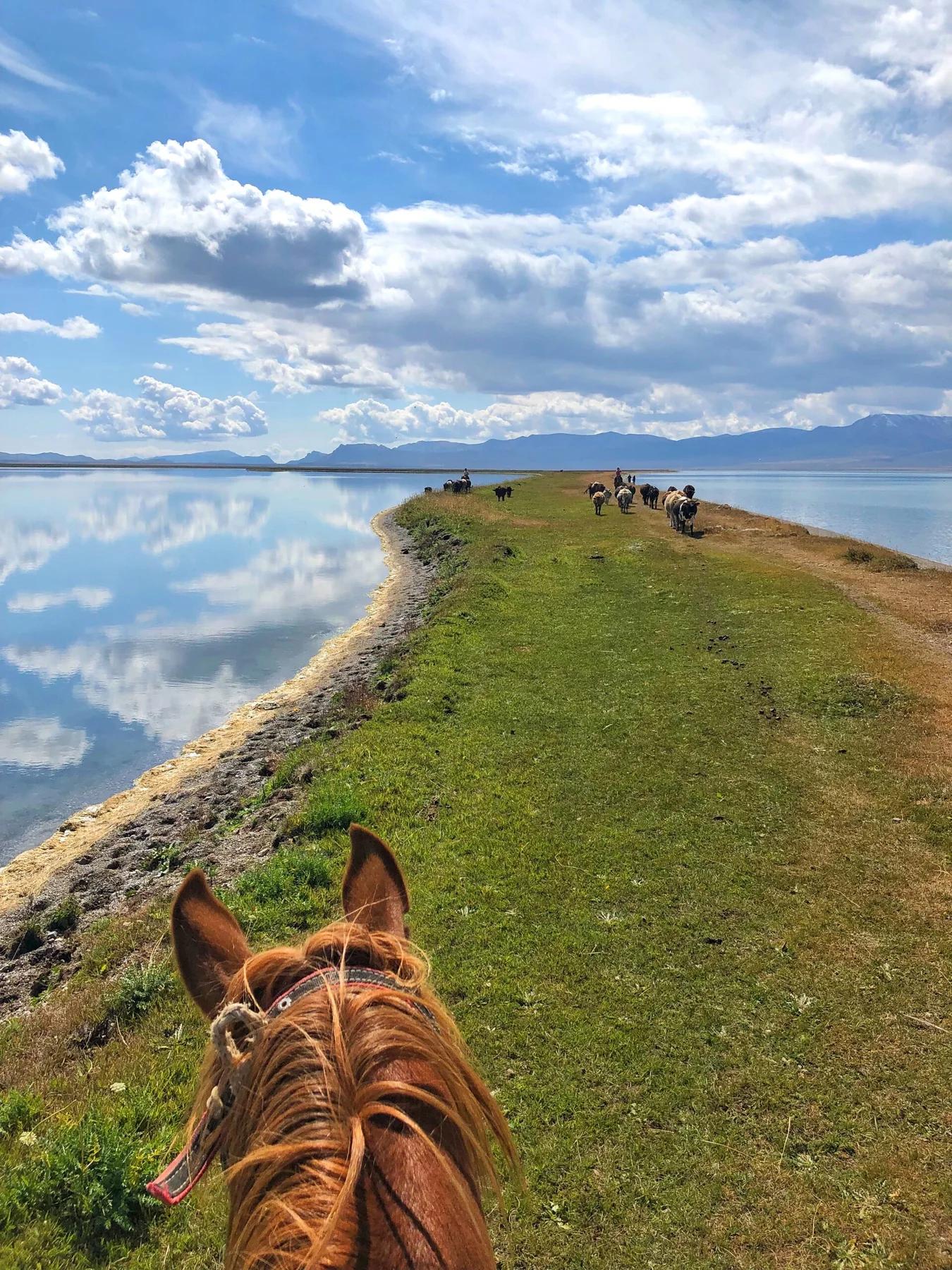 Son Kol lake, Kyrgyzstan, on the 2 day private tour