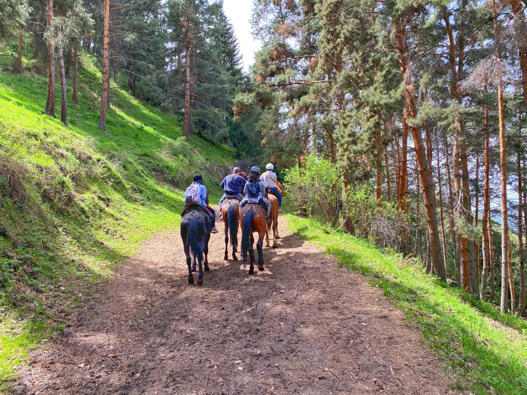 Kazakhstan and Kyrgyzstan private tour, landscape photo from the official gallery