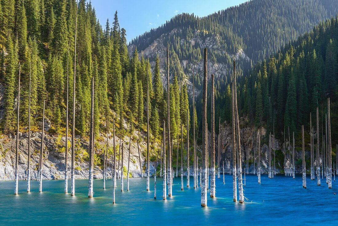 Kaindy lake with spruce trunks rising out of the water, Kazakhstan