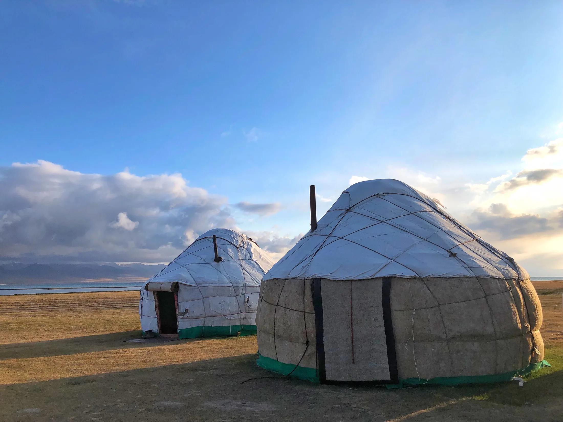 Horses grazing beside Song-Kol lake in Kyrgyzstan