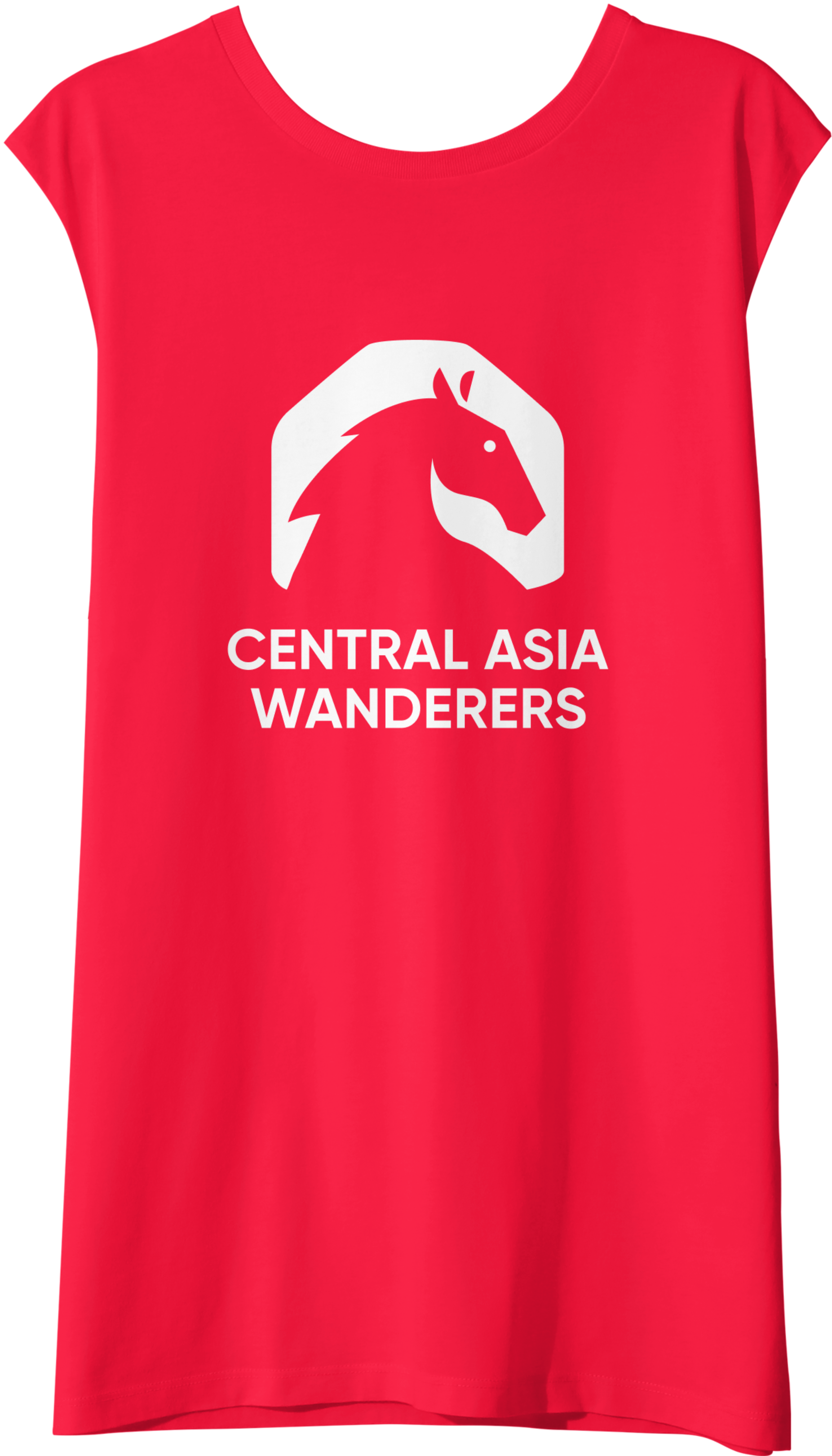 Blue Central Asia Wanderers T-shirt