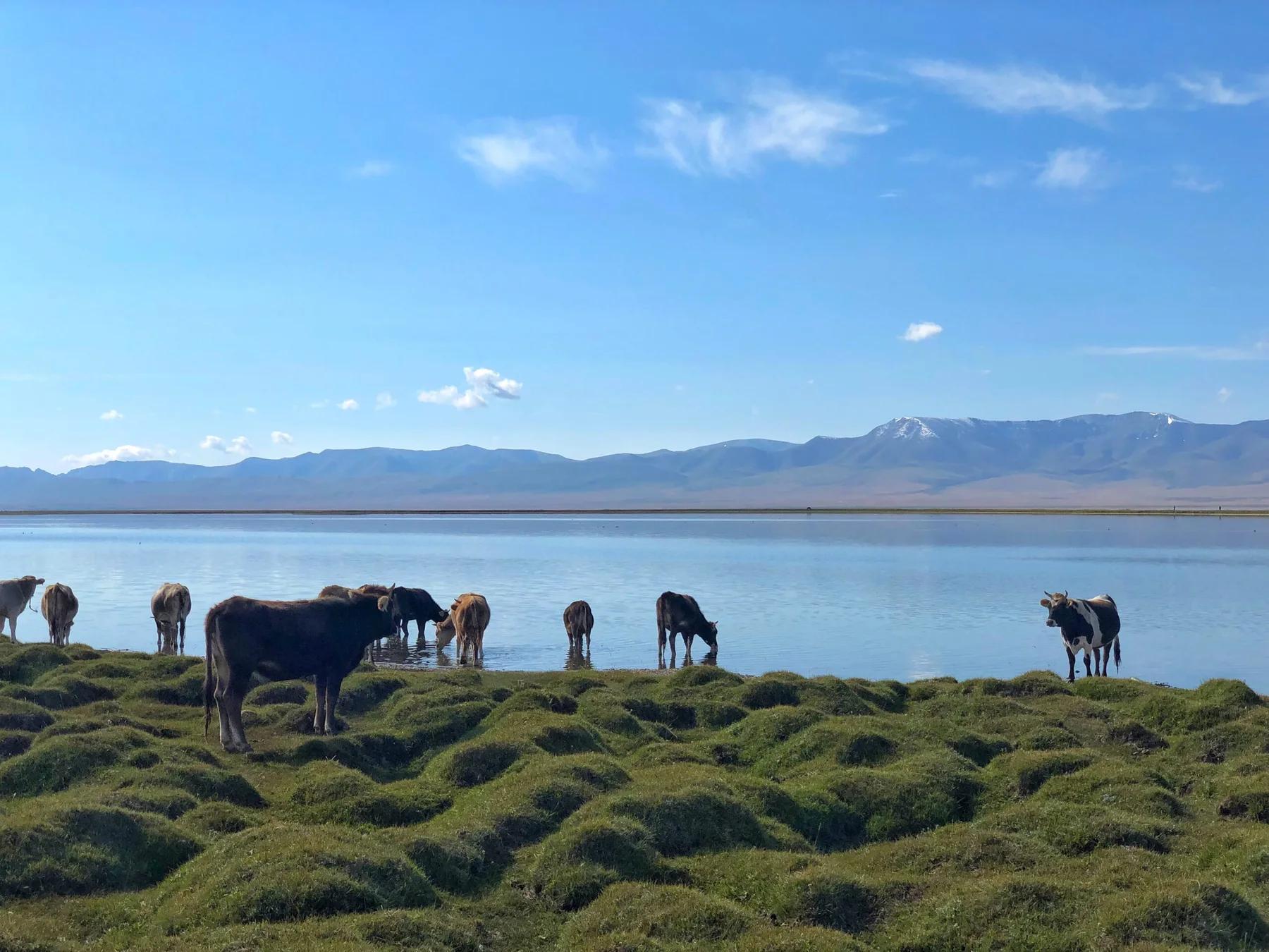 Son Kol lake, Kyrgyzstan, on the 2 day private tour