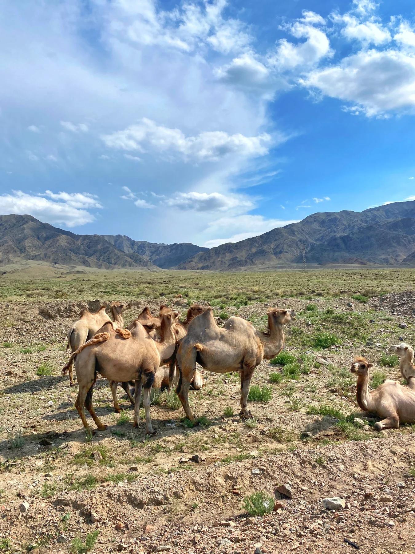 Kyrgyzstan, on the 8-day group tour