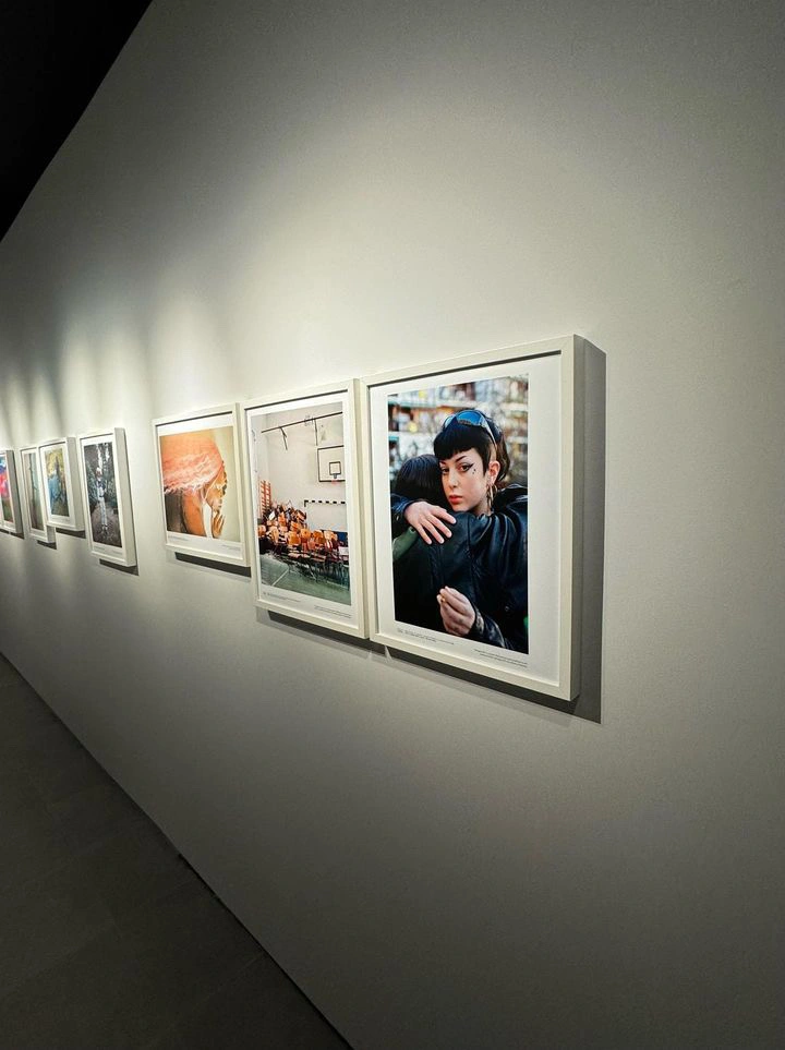 2024. The Analog Sparks Best of Show. House of Lucie.