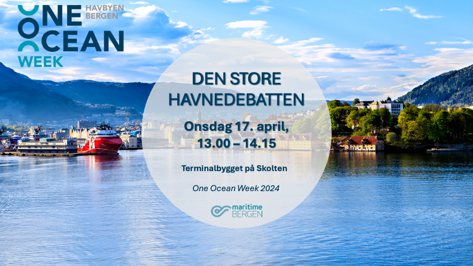 Den store havnedebatten