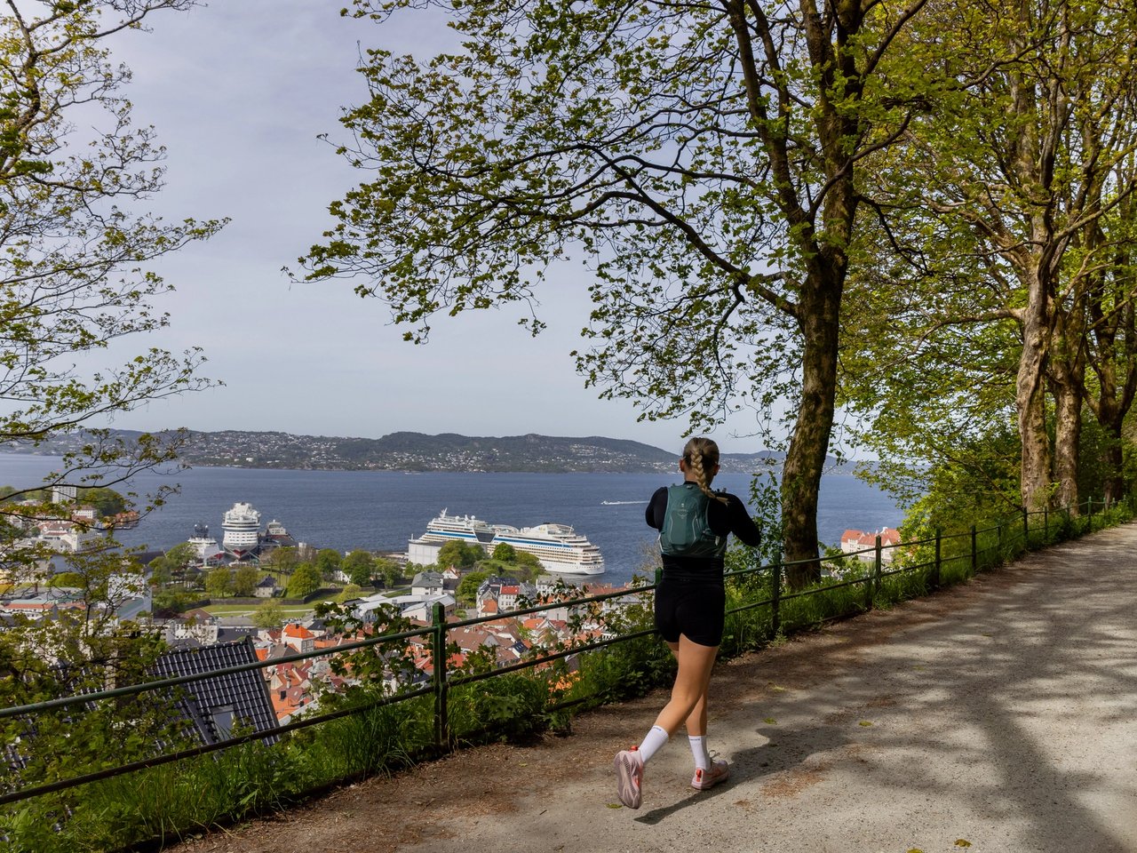 Bergen Cruise Network established