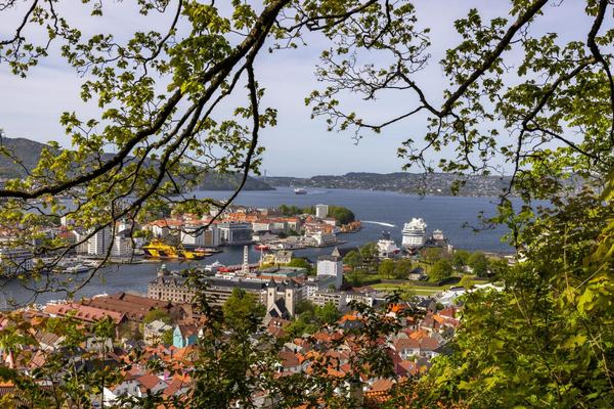 Bergen Havn med sin første bærekraftsrapport