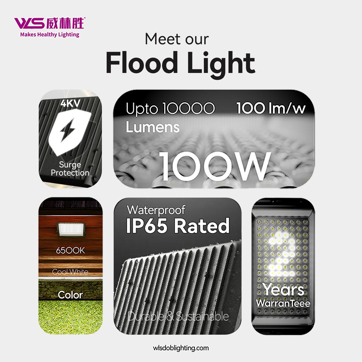 DOB Floodlight Ant Model
