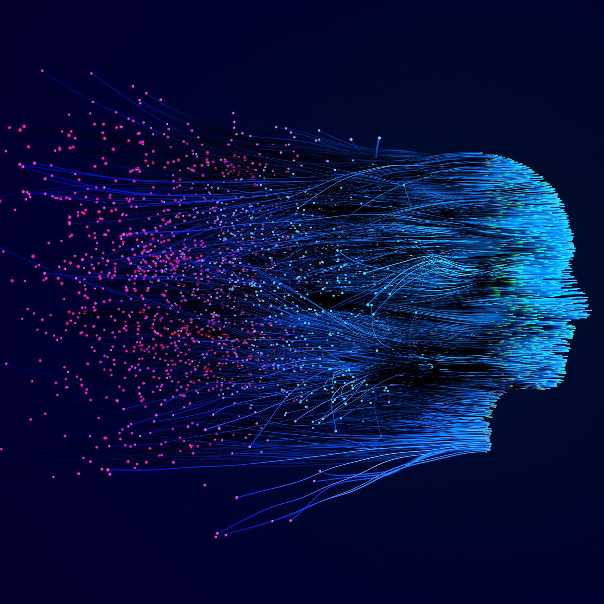 Is Memory Still a Commodity? | WisdomTree