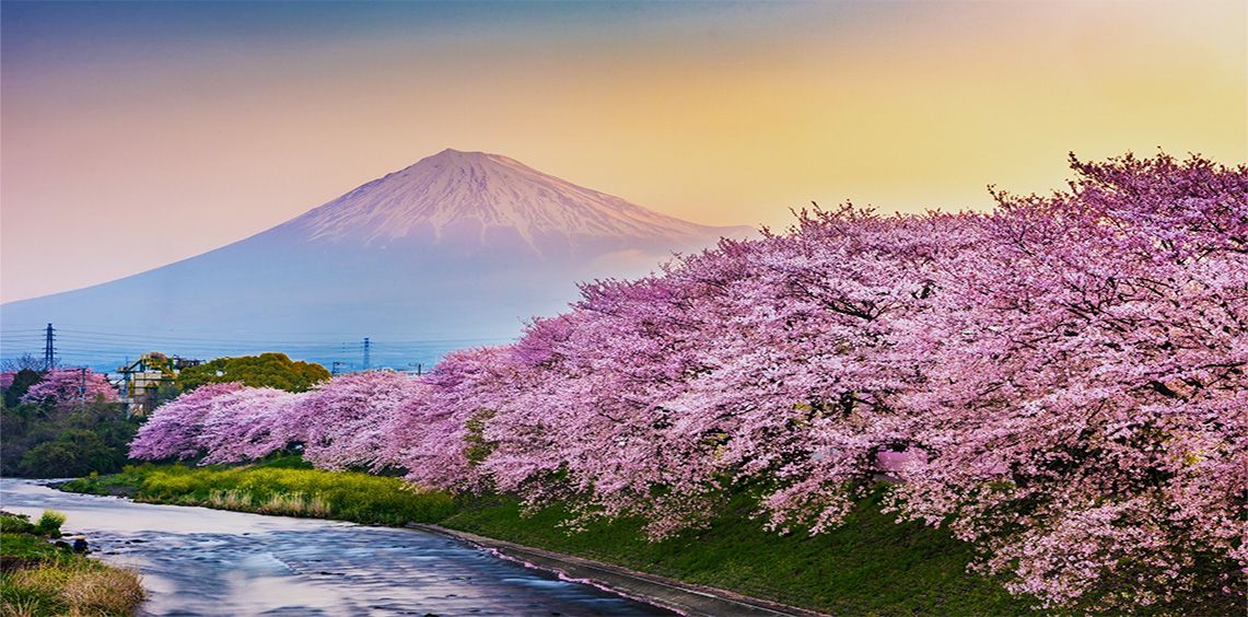 Japan's Second Act: Shareholder Returns and Global Relevance