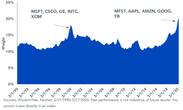 figure-1_sp500-top-weights.png