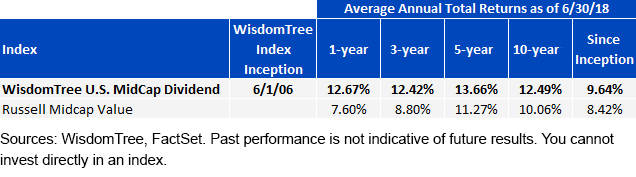 avg-annual-returns-of-wtdmi.gif