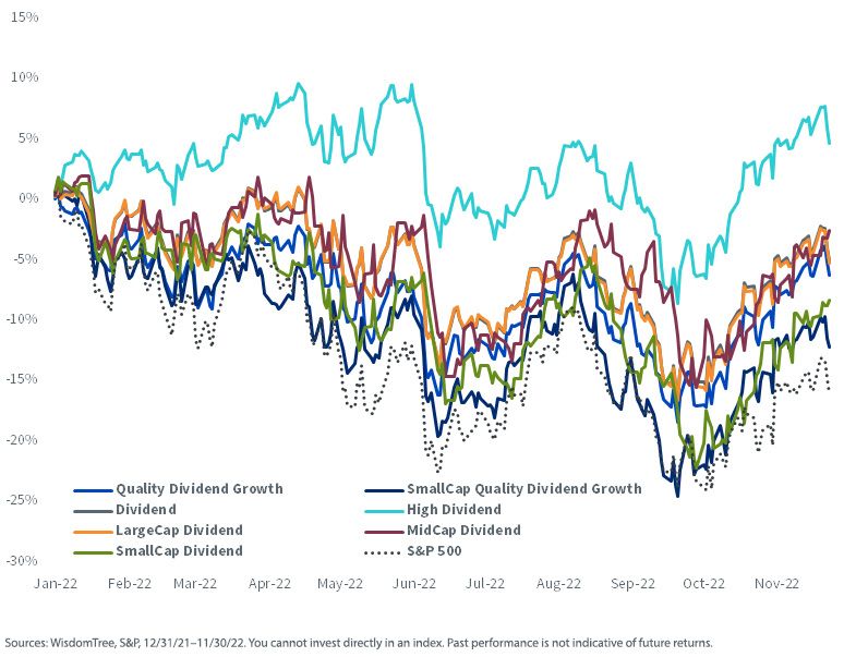figure-5yeartodate-performance-wisdomtree-dividend-indexes-vs-sp-500.jpg