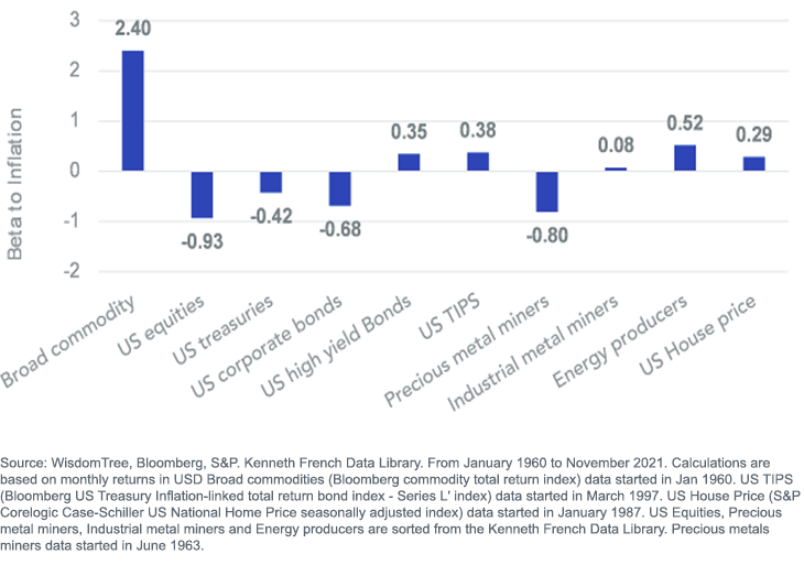 figure-6_beta-to-expected-inflation.png
