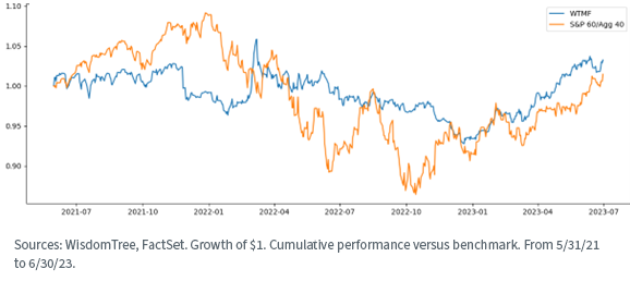 fig-5a_fund-perf-vs-benchmark.png