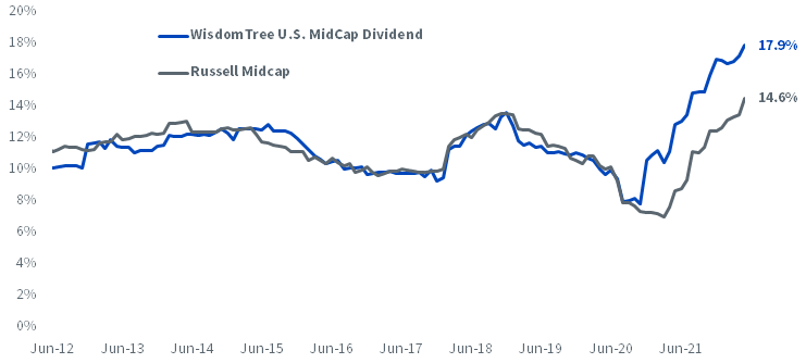 figure-4---mid-caps-return-on-equity.png