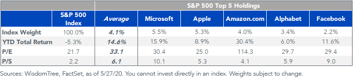 figure-5_sp-500-companies-top-holding.png
