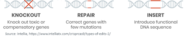 figure-1_dna-sequences.png