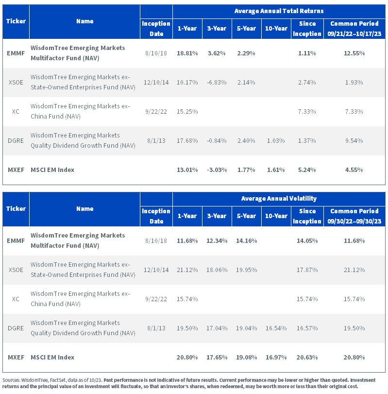 Managing Currency Risk in an Emerging Market Portfolio | Wisdomtree