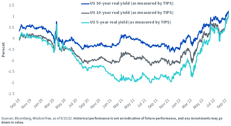 figure-1---real-yield.png