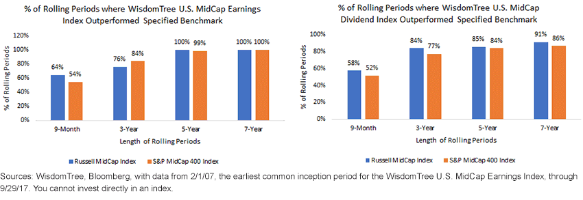 long-term-performance-in-midcap.gif