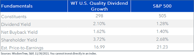 figure-6---index-fundamentals.png