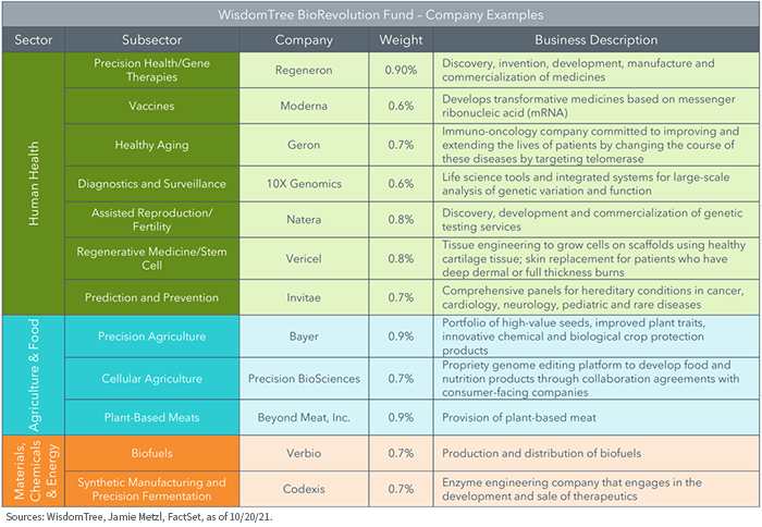 figure-2---company-examples.png