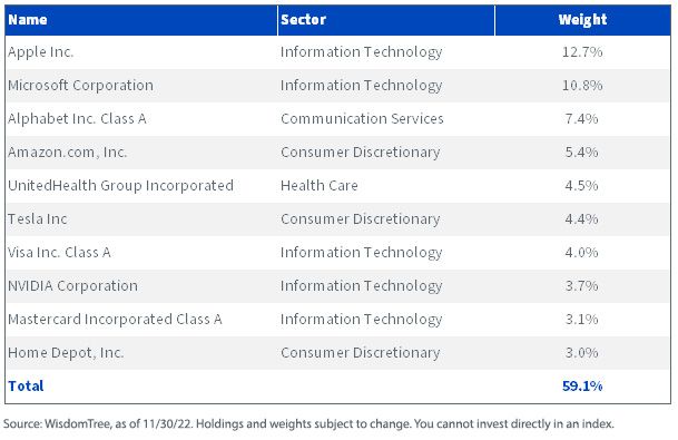 figure-4_index-top-holdings.jpg