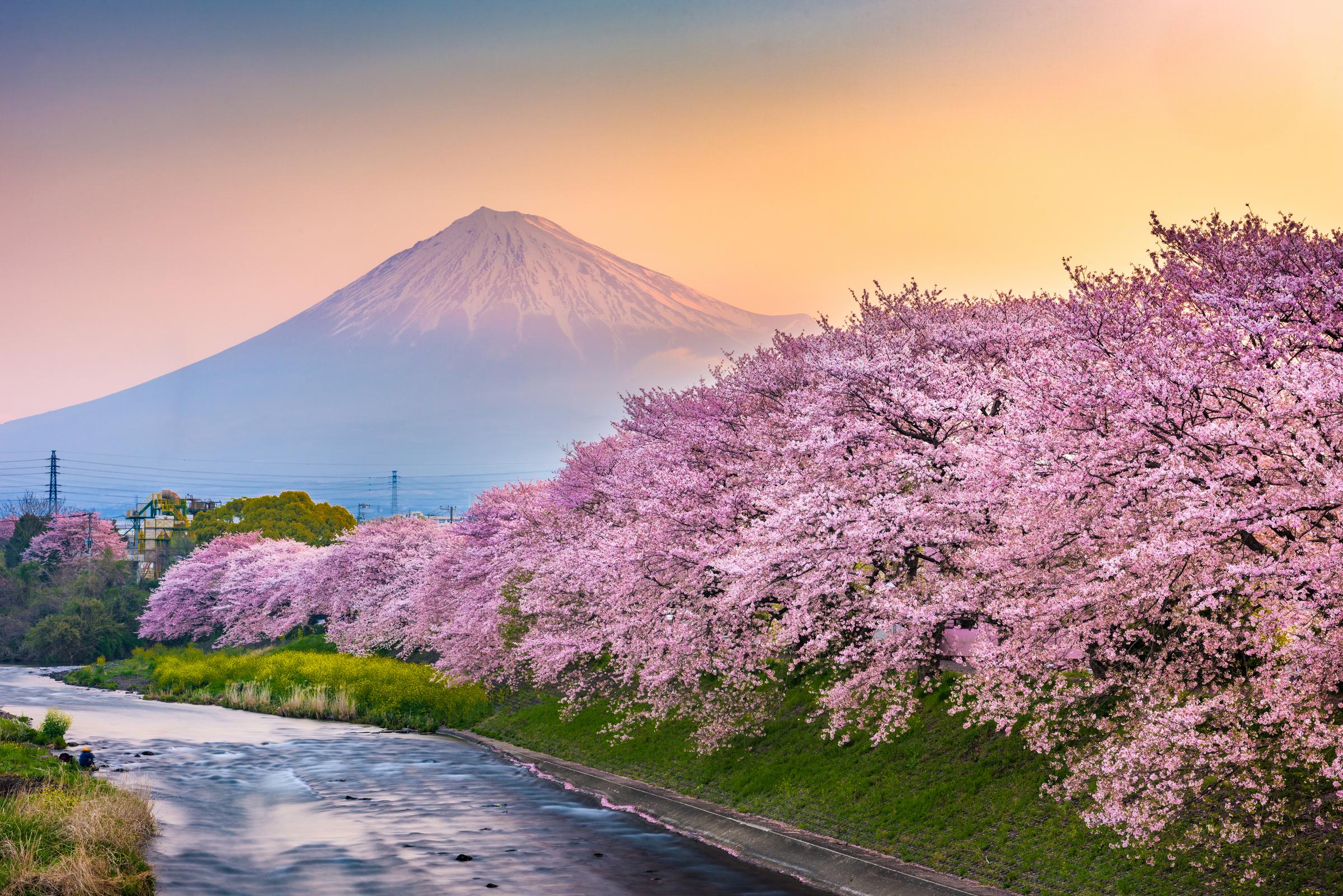 Positioning for Japan's Next Chapter | Wisdomtree