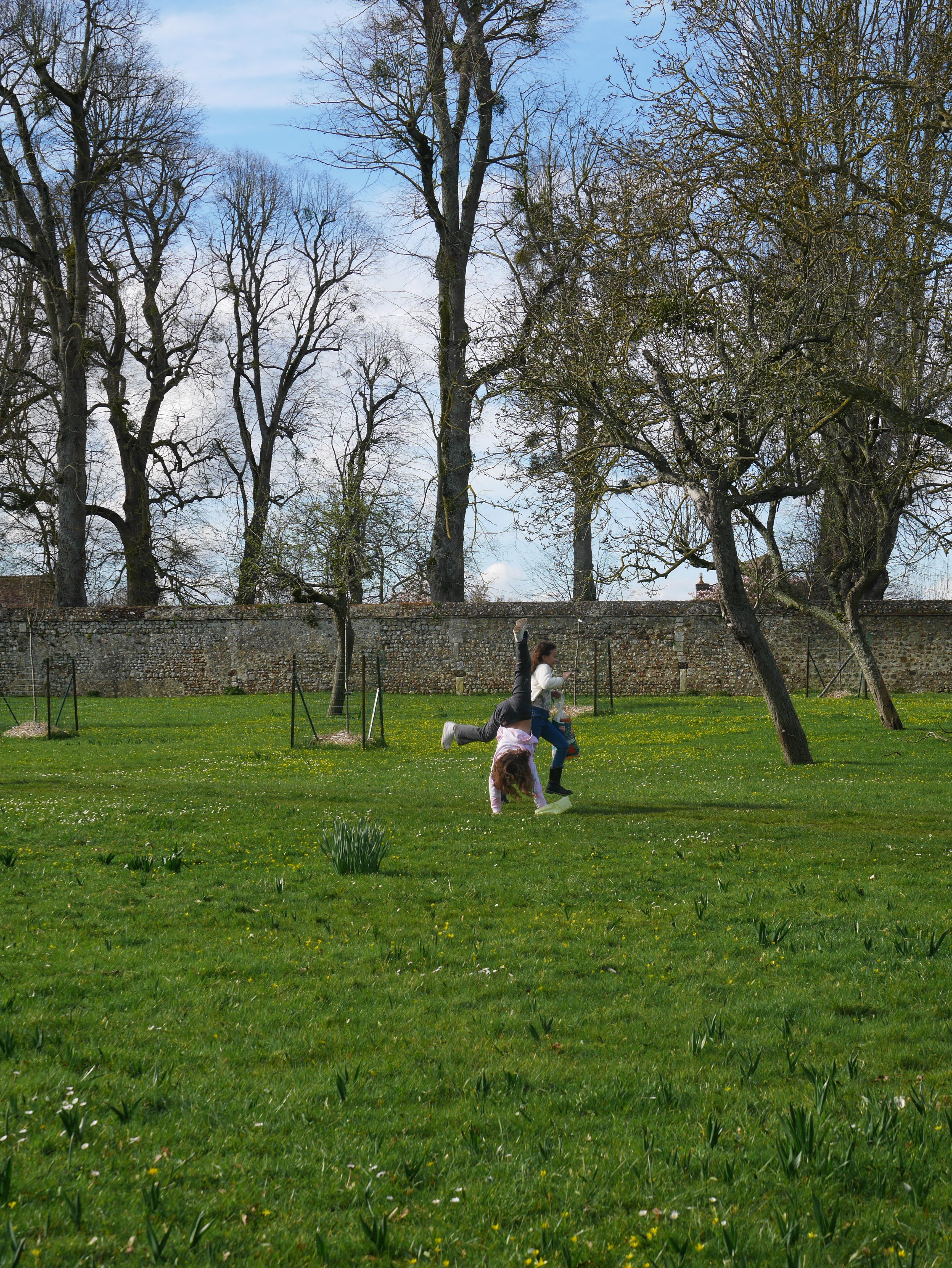 Découverte parc et jardins