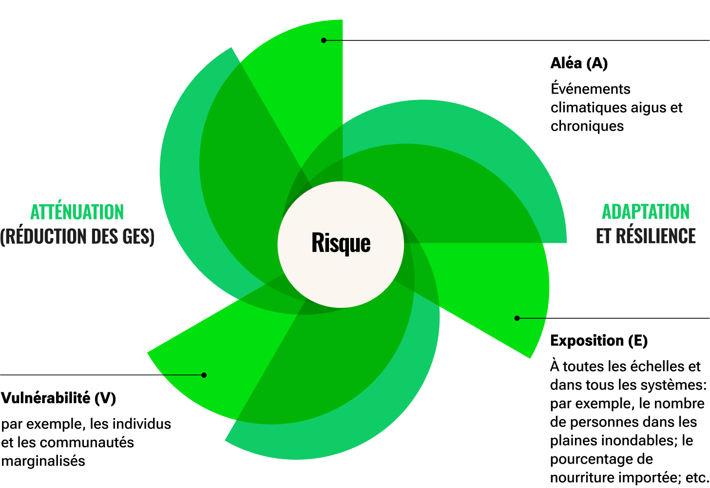 Un cercle blanc avec des petals verts ressemblent une fleur representant les elements composant le risque climatique et les impacts d’attenuation et adaptation. Ces elements sont les aléas climatique, l’exposition, et la vulnérabilité.