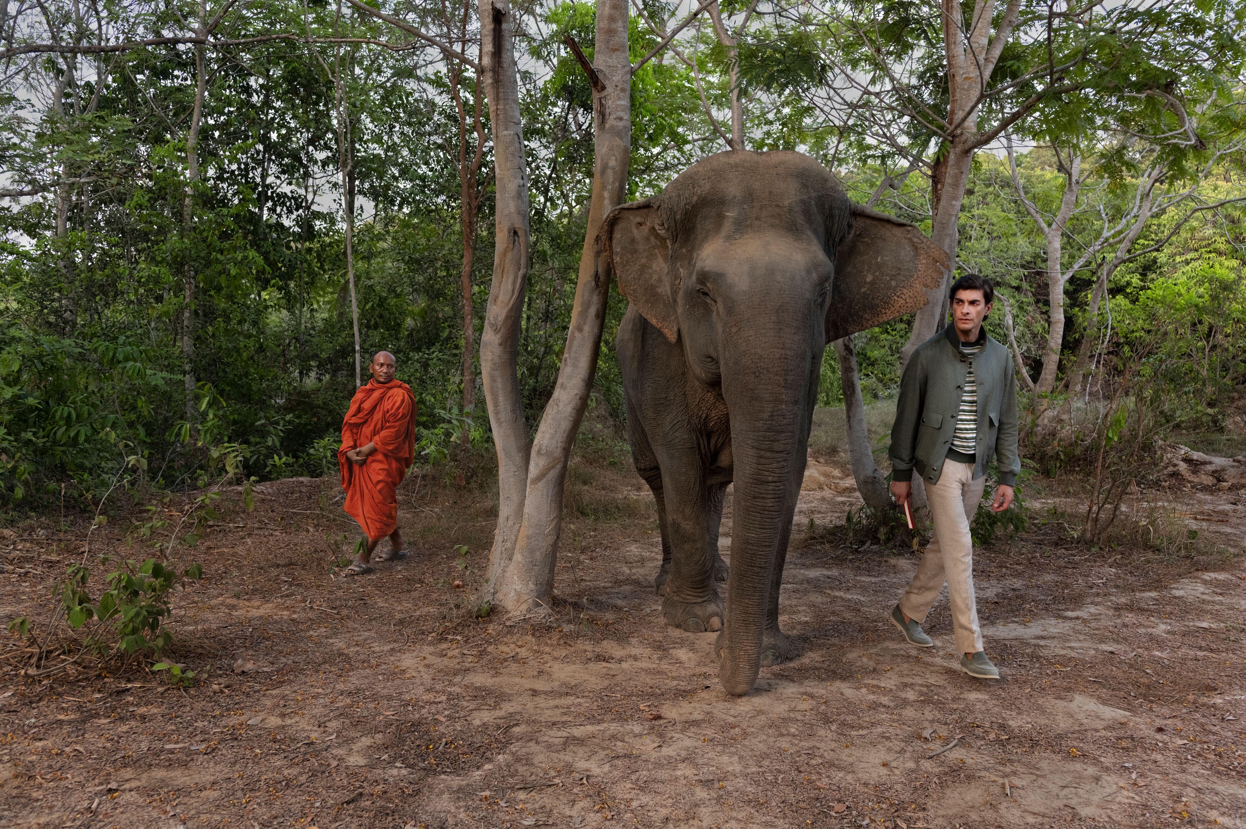 Stefano Ricci is partnering with Wild Earth Allies to reintegrate Asian elephants into their natural habitat. Image: Stefano Ricci