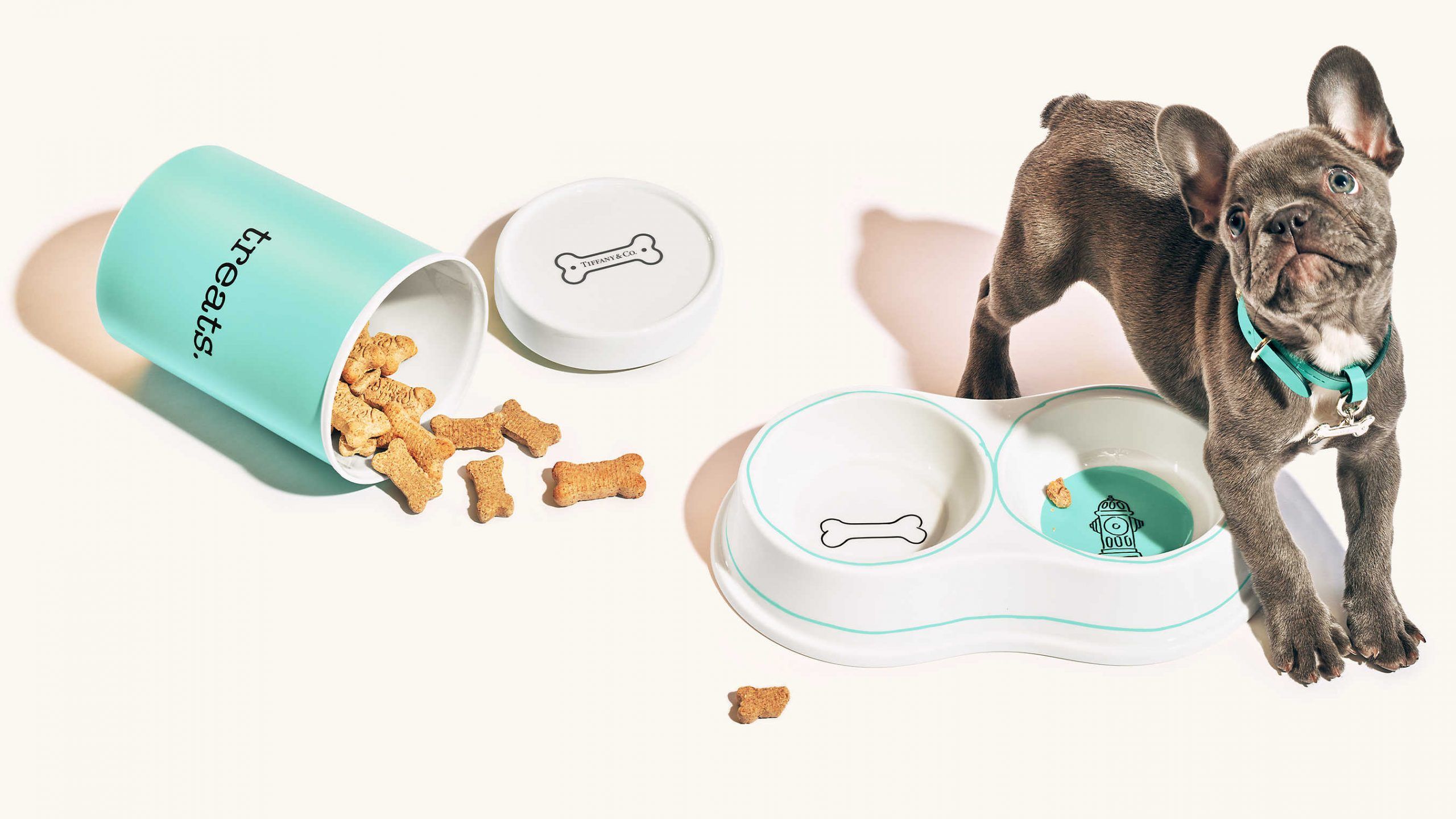 4 luxury brands to twin with your pampered pooch: from Louis